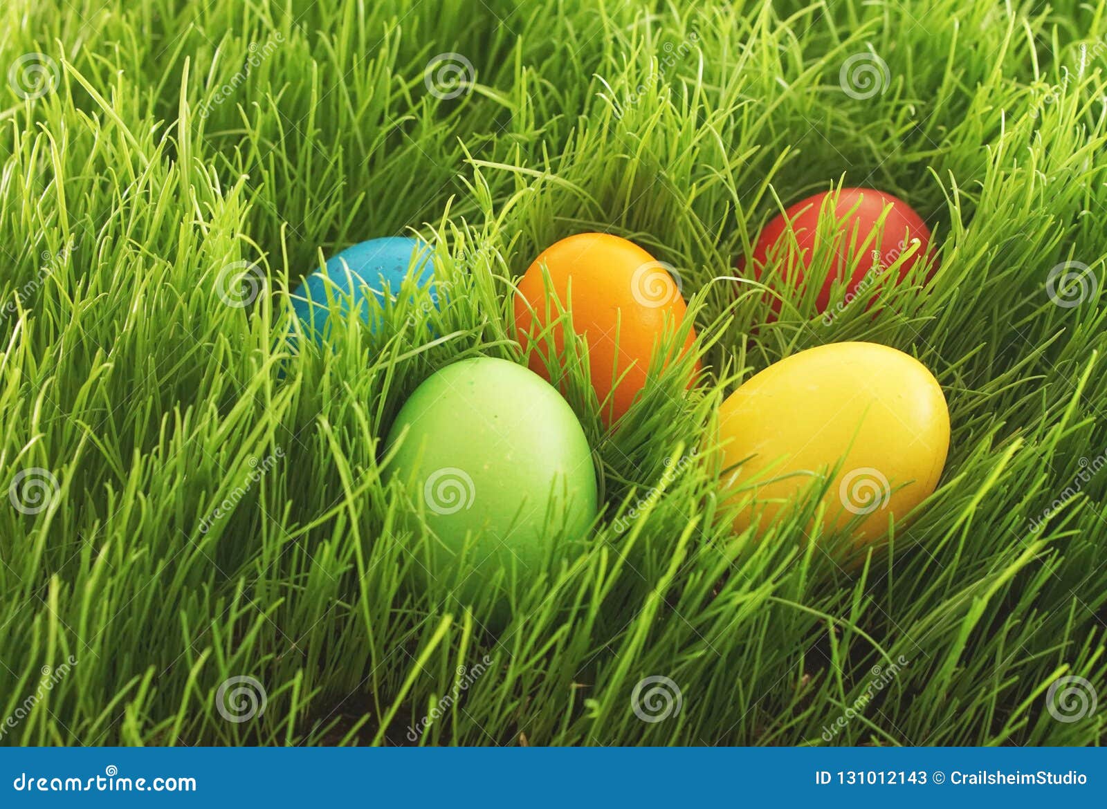 Easter Eggs Hidden in Green Grass Stock Image Image of blades, hidden