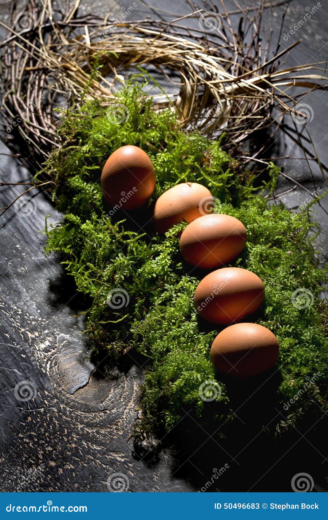 Easter Eggs on Moss, Easter Nest Stock Image - Image of sprig, basket
