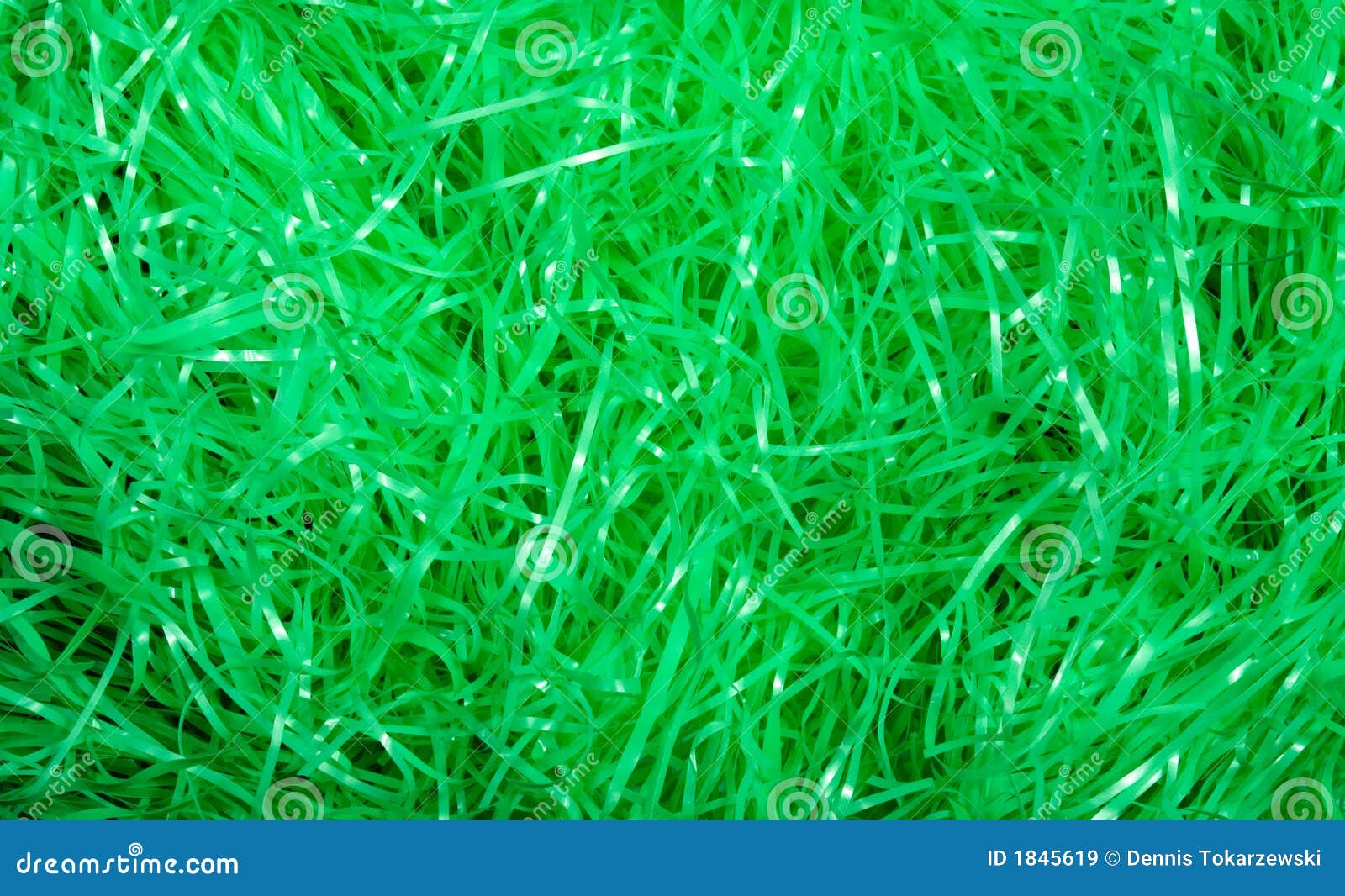 Isolated Easter Grass Stock Photo - Download Image Now - Easter, Grass, Cut  Out - iStock