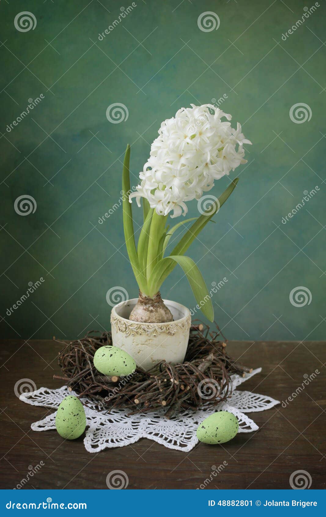 Easter hyacinth stock image. Image of doily, holiday 48882801