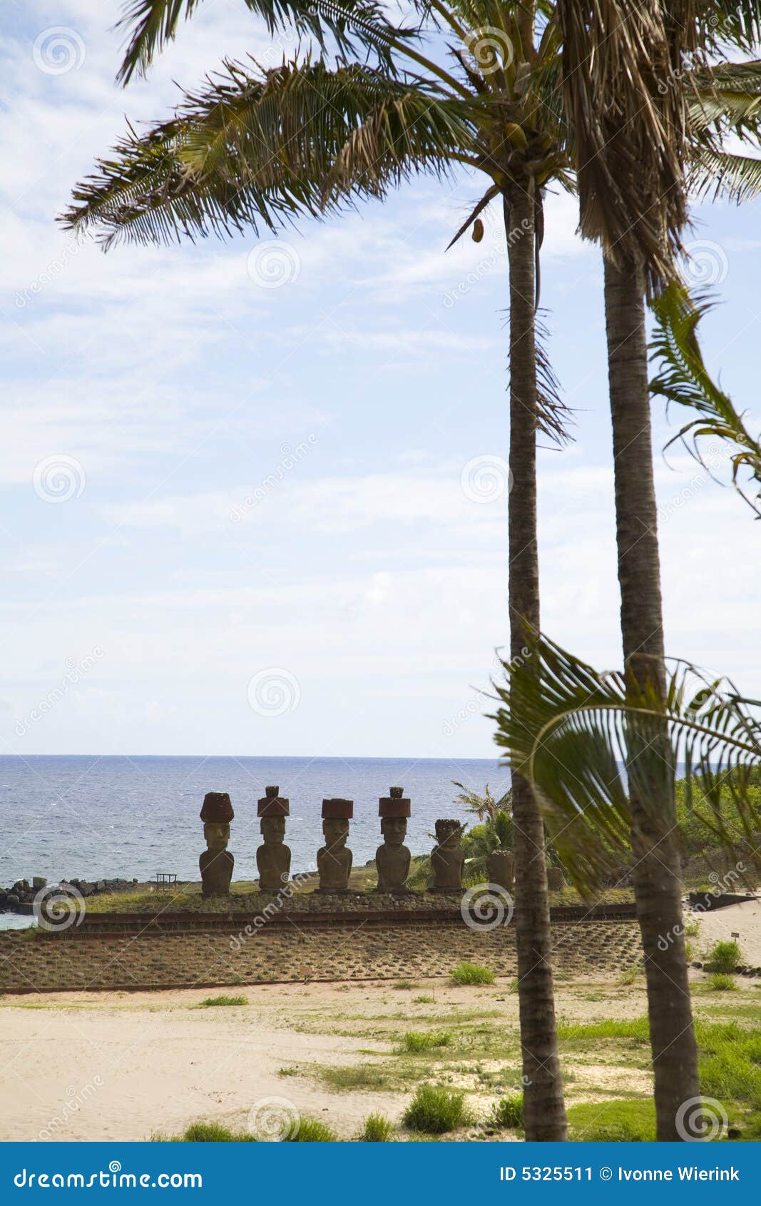 easter island with palmtrees and statues