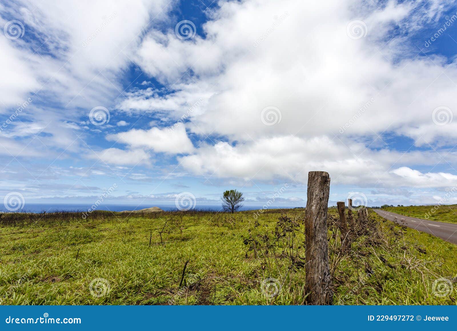 easter island rapa nui or isla de pascua landscape with the pacific ocean in the background, chile