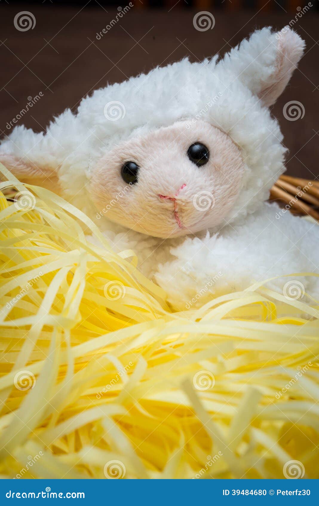 Easter Lamb stock photo. Image of looking, pets, animal 39484680