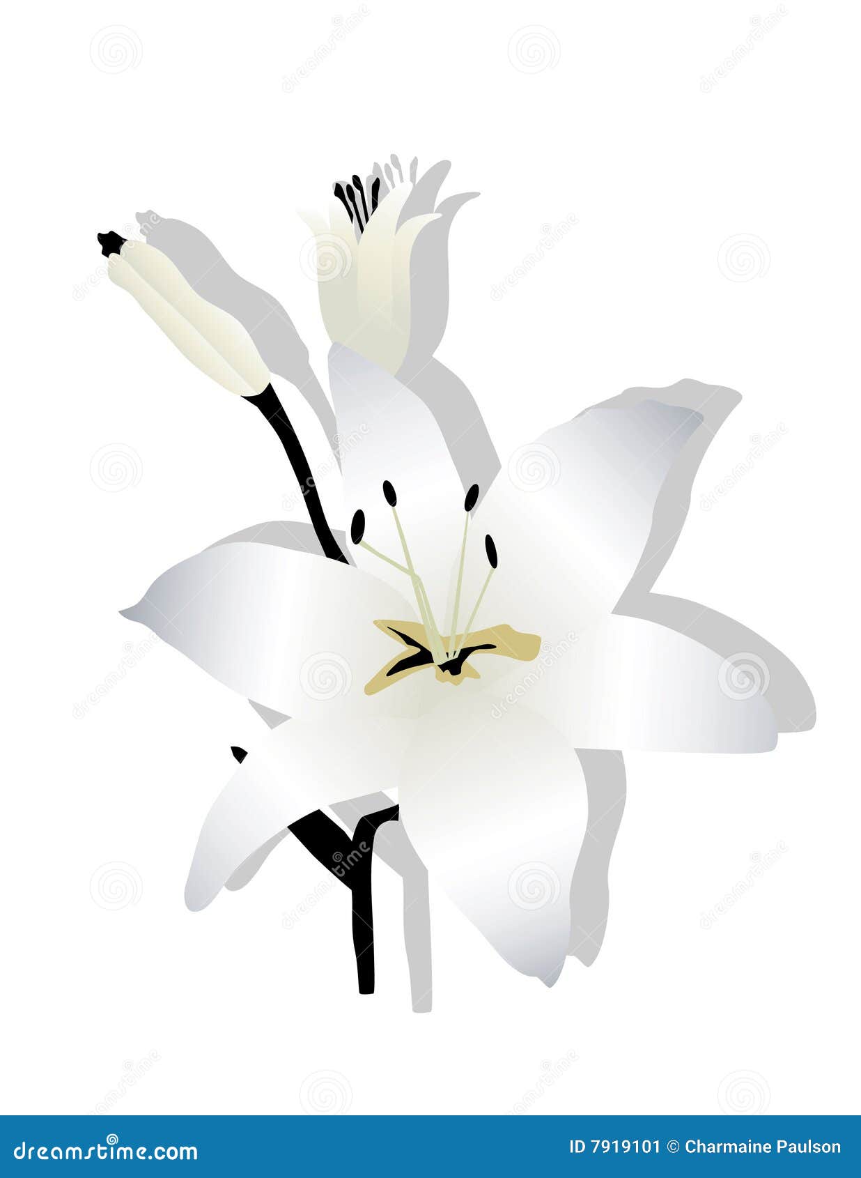 easter lily free clipart - photo #49