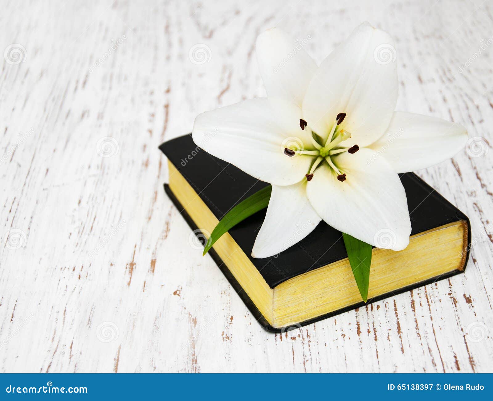 Easter lily and bible stock image. Image of church ...