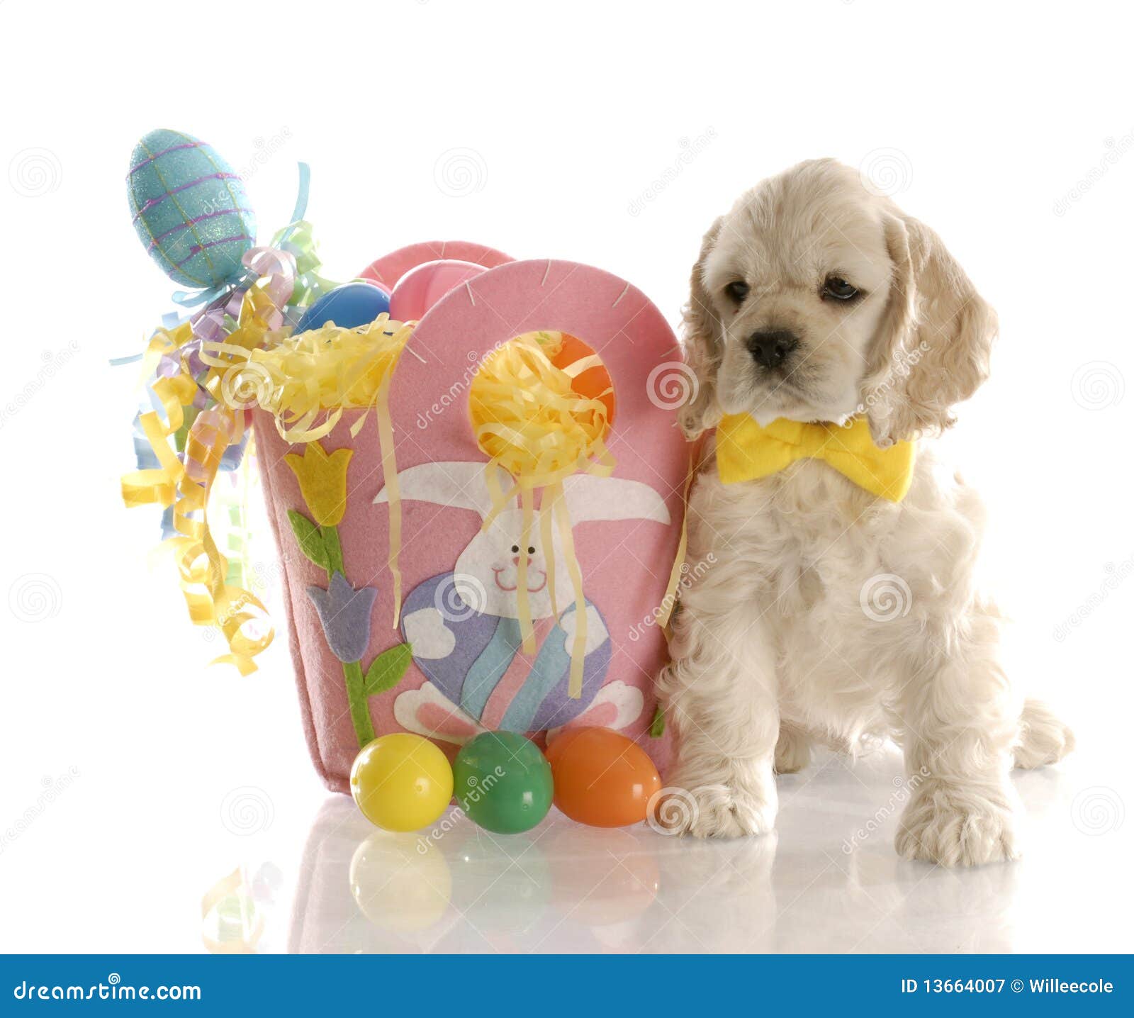 Easter puppy stock image. Image of cute, basket, rabbit 13664007