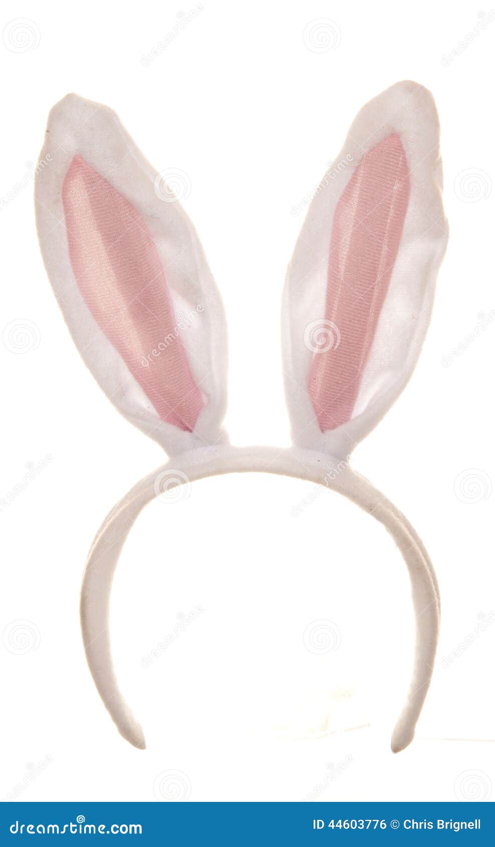 easter rabbit ears