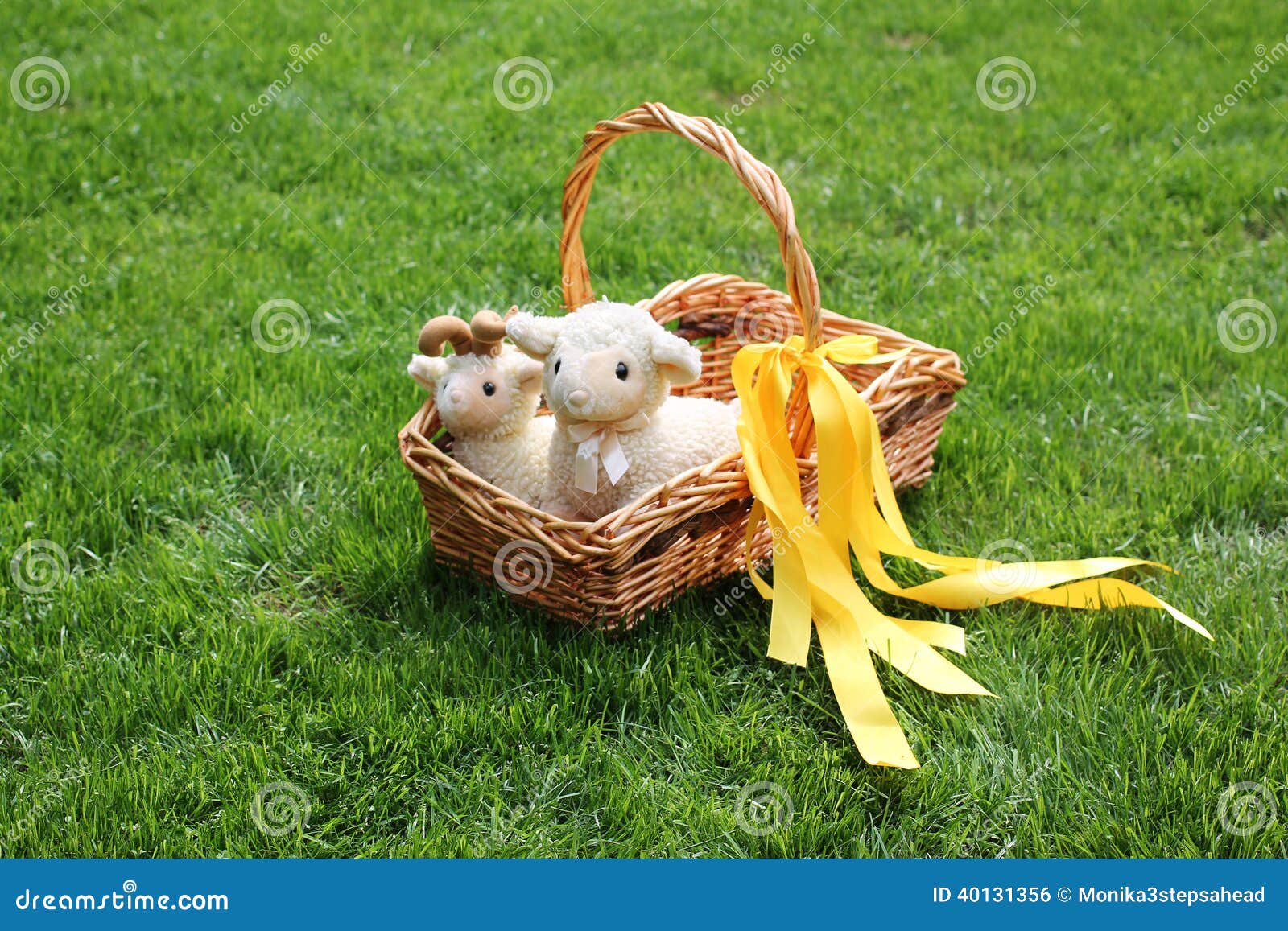 Easter Sheeps in a Basket on Grass Stock Photo Image of sheep, grass