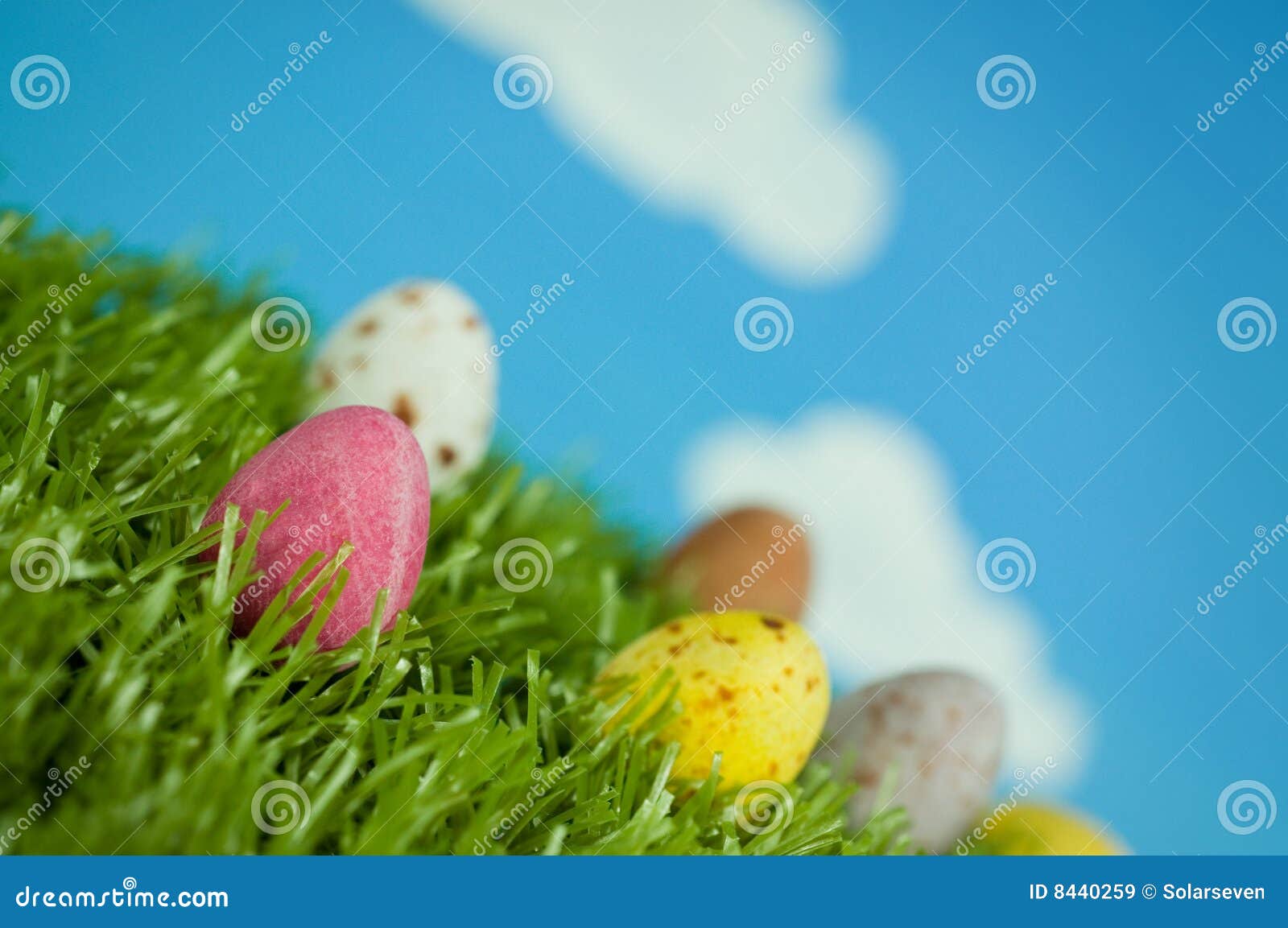 Easter Surprise stock image. Image of eater, candy, field 8440259