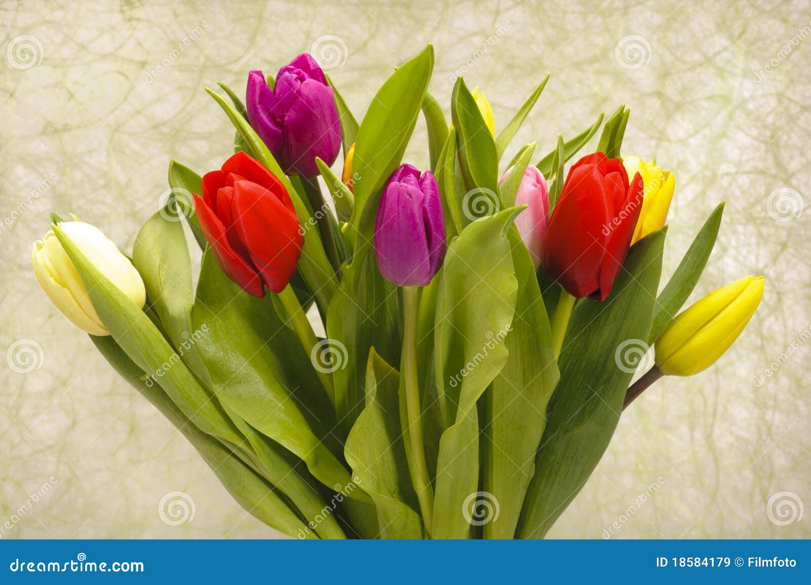 Easter tulip bunch stock image. Image of love, holiday - 18584179