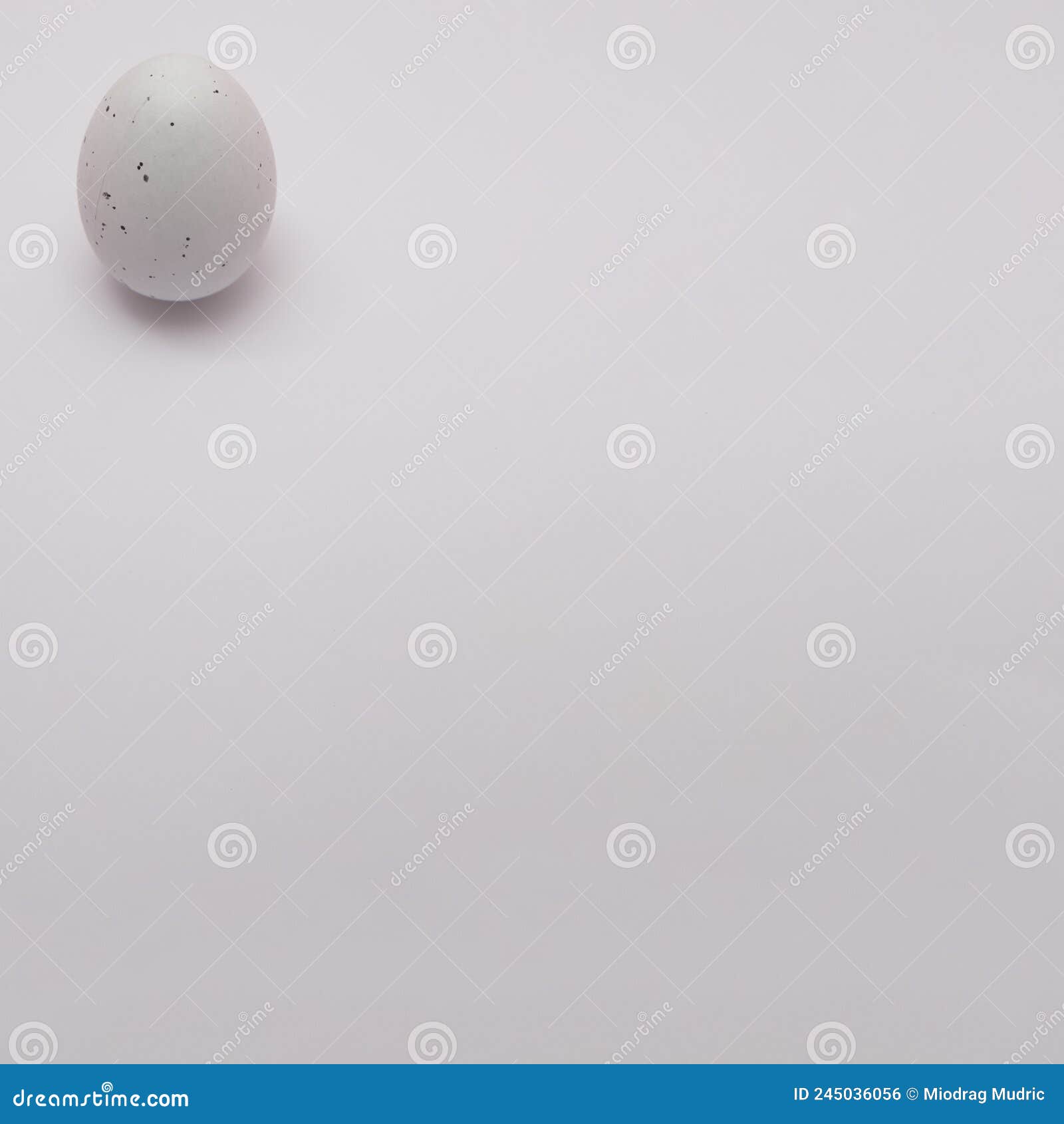 Easter White Egg with Black Spots with Copy Space on a White Background