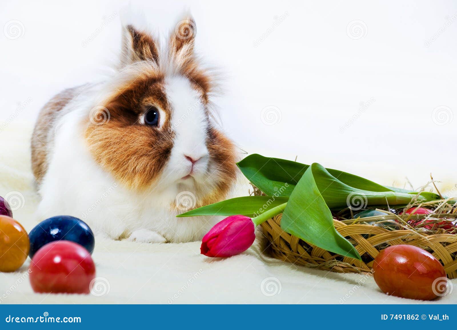 Eastern rabbit stock photo. Image of catholic, holiday 7491862