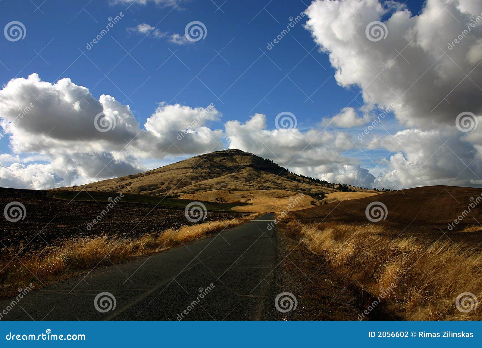 Eastern Washington road stock photo. Image of farming 2056602