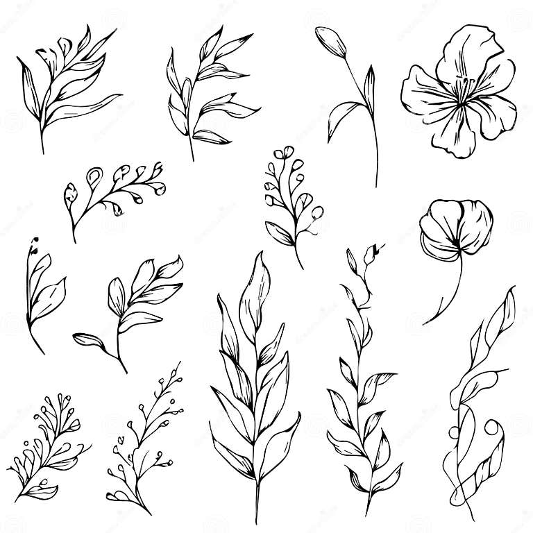 Easy Botanical Doodles. Aesthetic Flower Doodles, Botanical Drawings ...