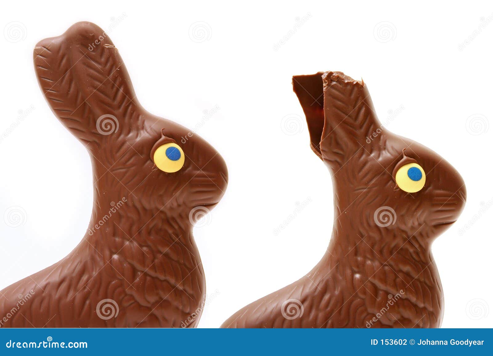 Eaten bunny stock photo. Image of birth, sweets, easter 153602