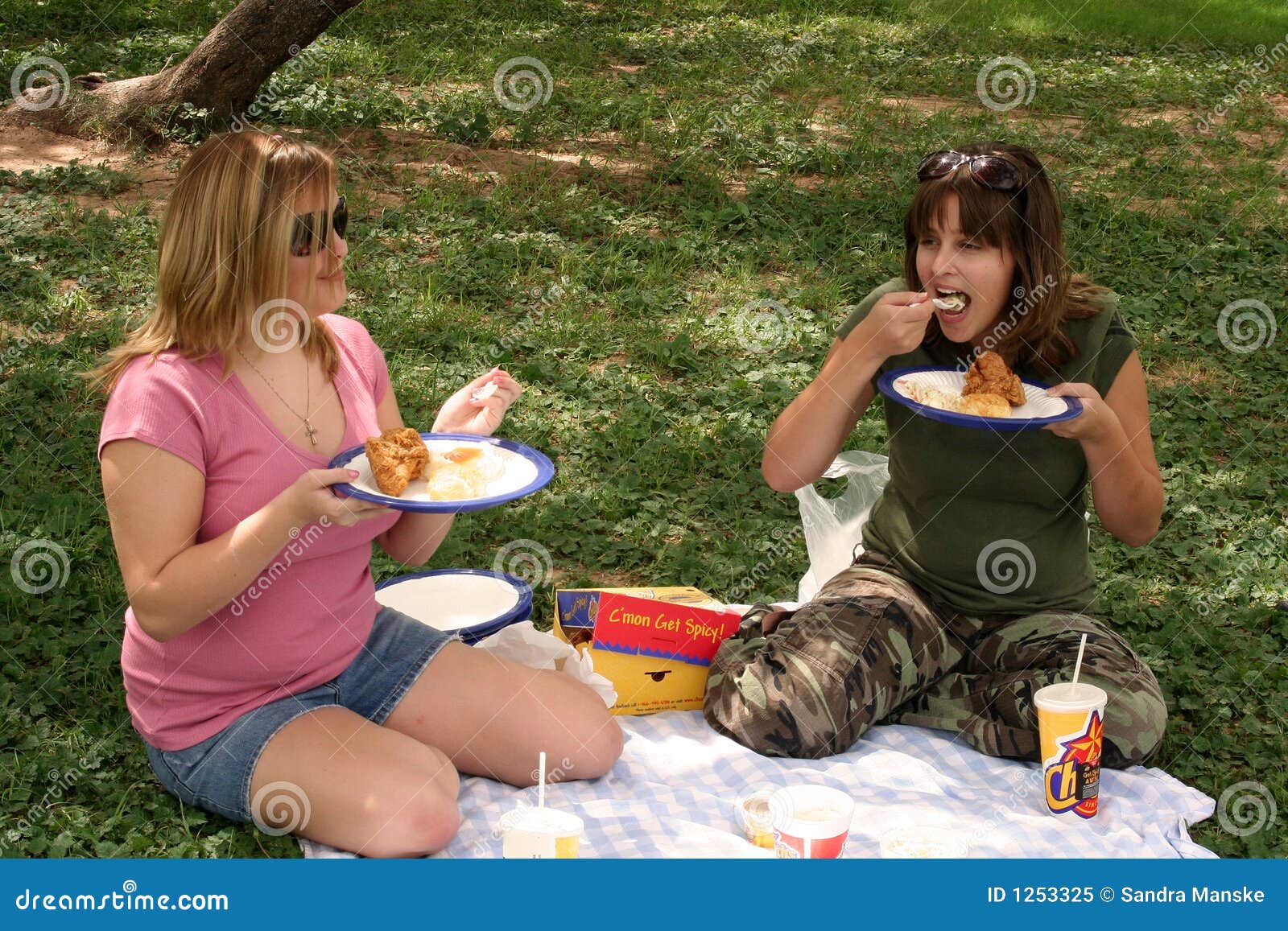 Eating Chicken stock image. Image of female, lunch, outside 1253325