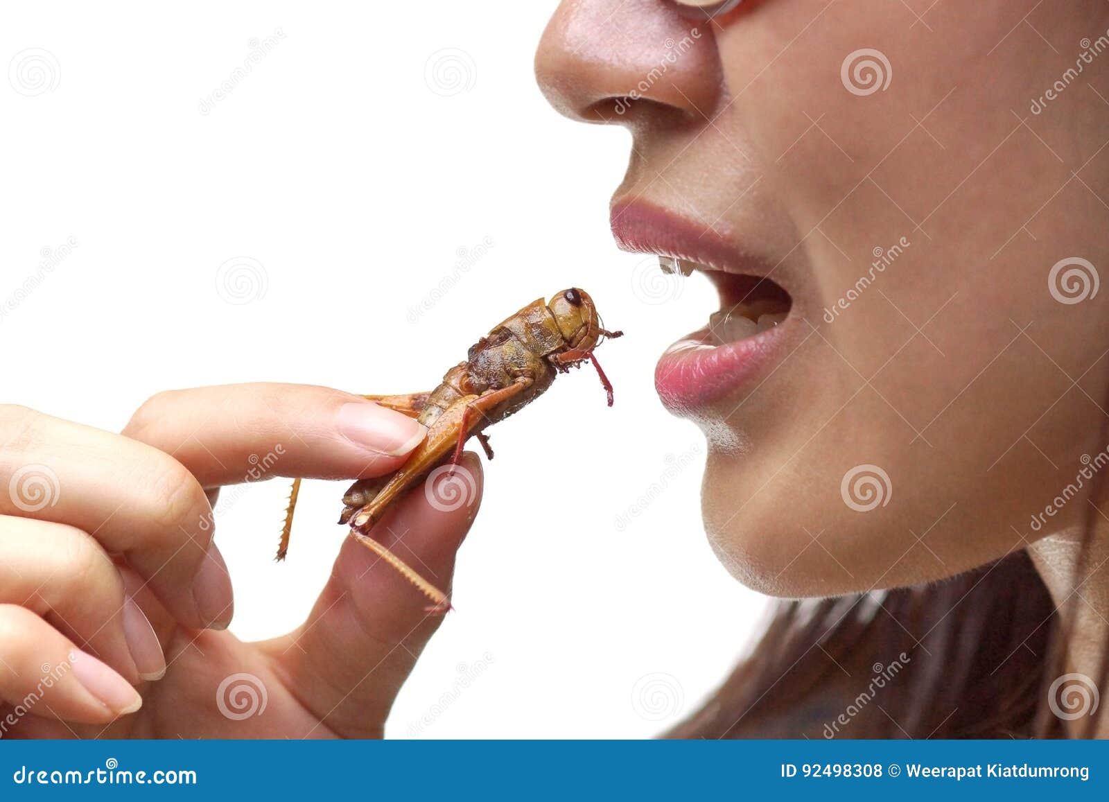 Eating Insect Stock Photo Image Of Female Asian Eating 92498308