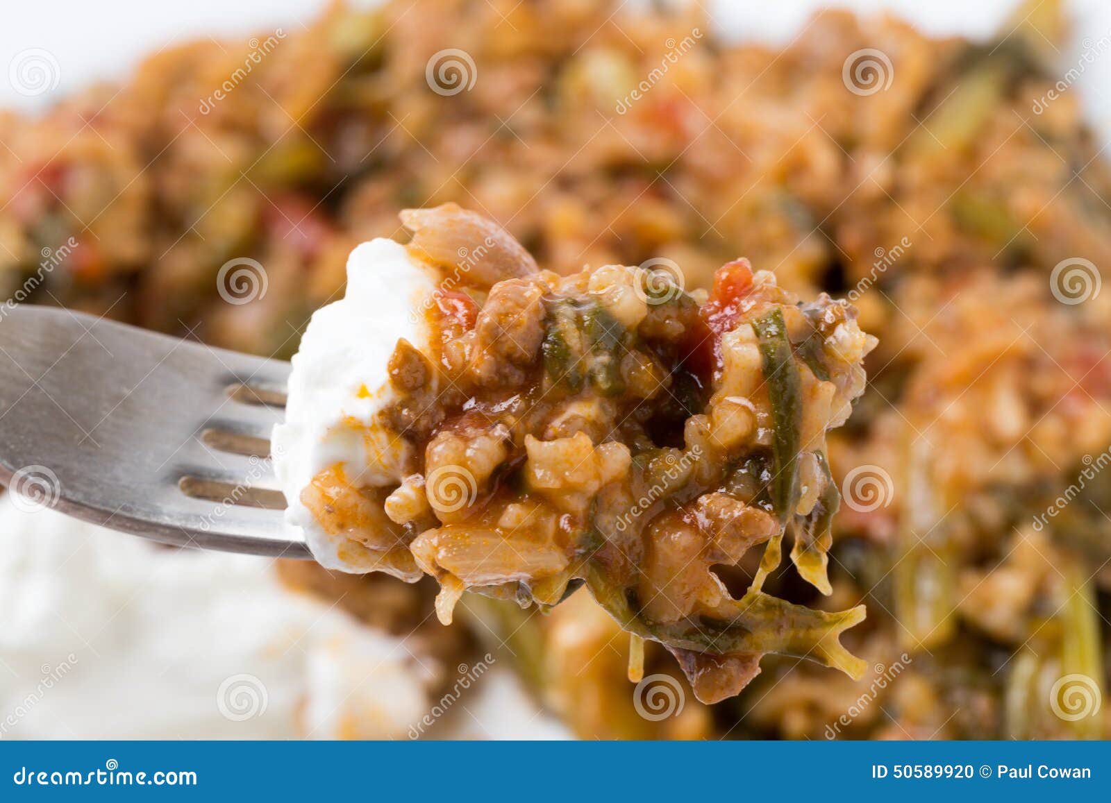 Eating mince and spinach stock photo. Image of kymali - 50589920
