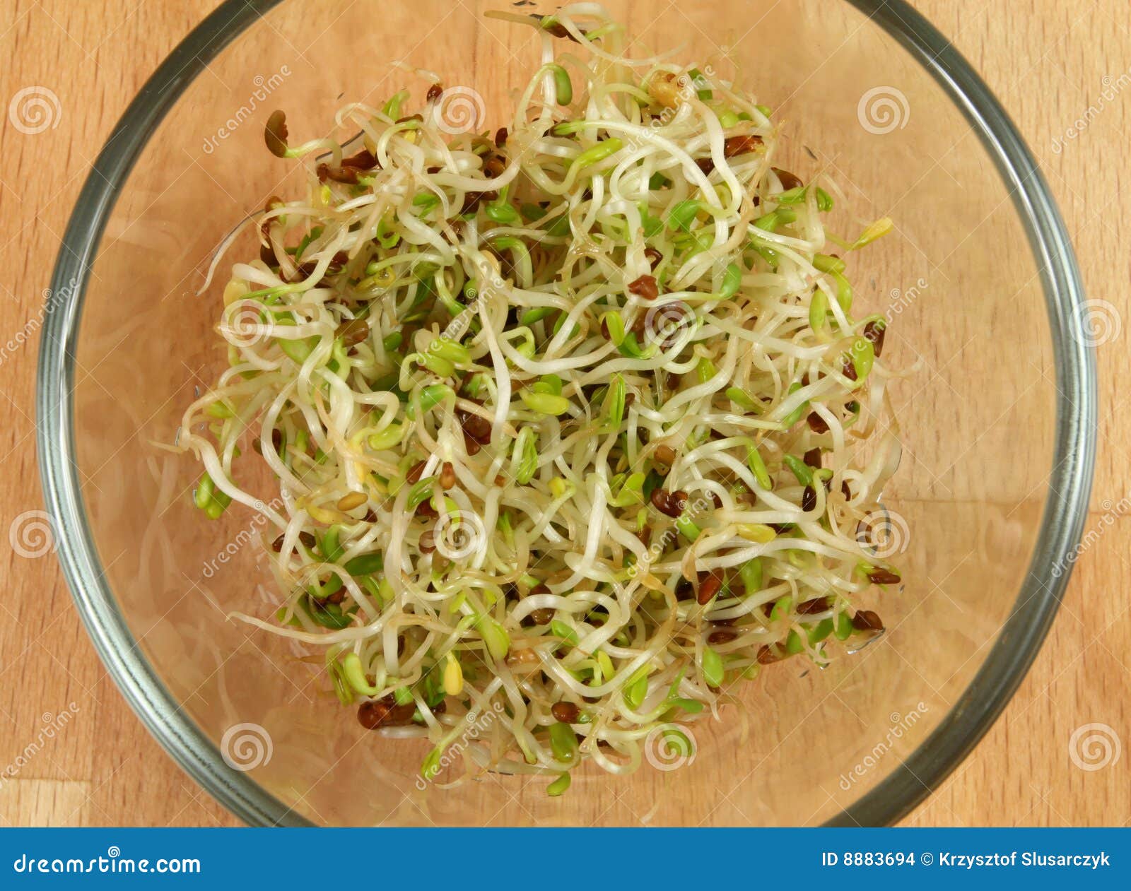 Eating sprouts stock photo. Image of healthy, cuisine 8883694