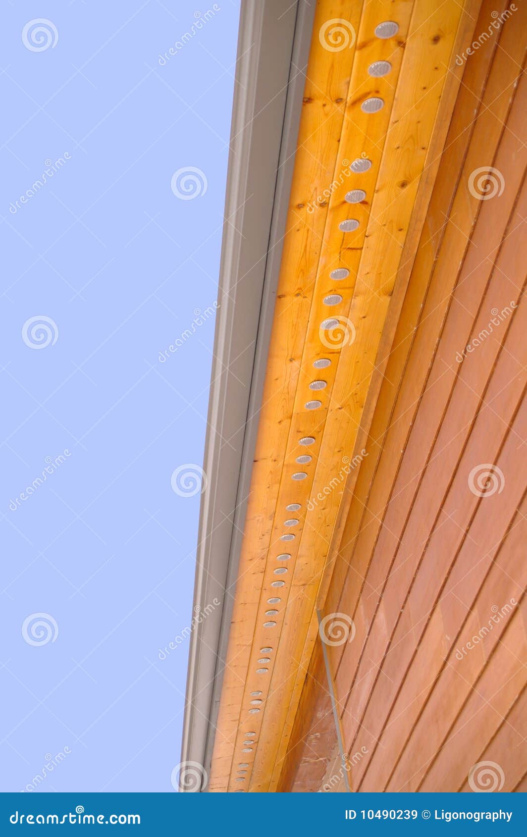 Eaves stock image. Image of vertical, macro, brown, clean 10490239