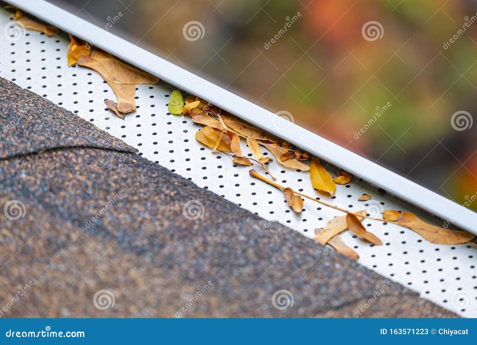 eaves trough with leaf or gutter filter