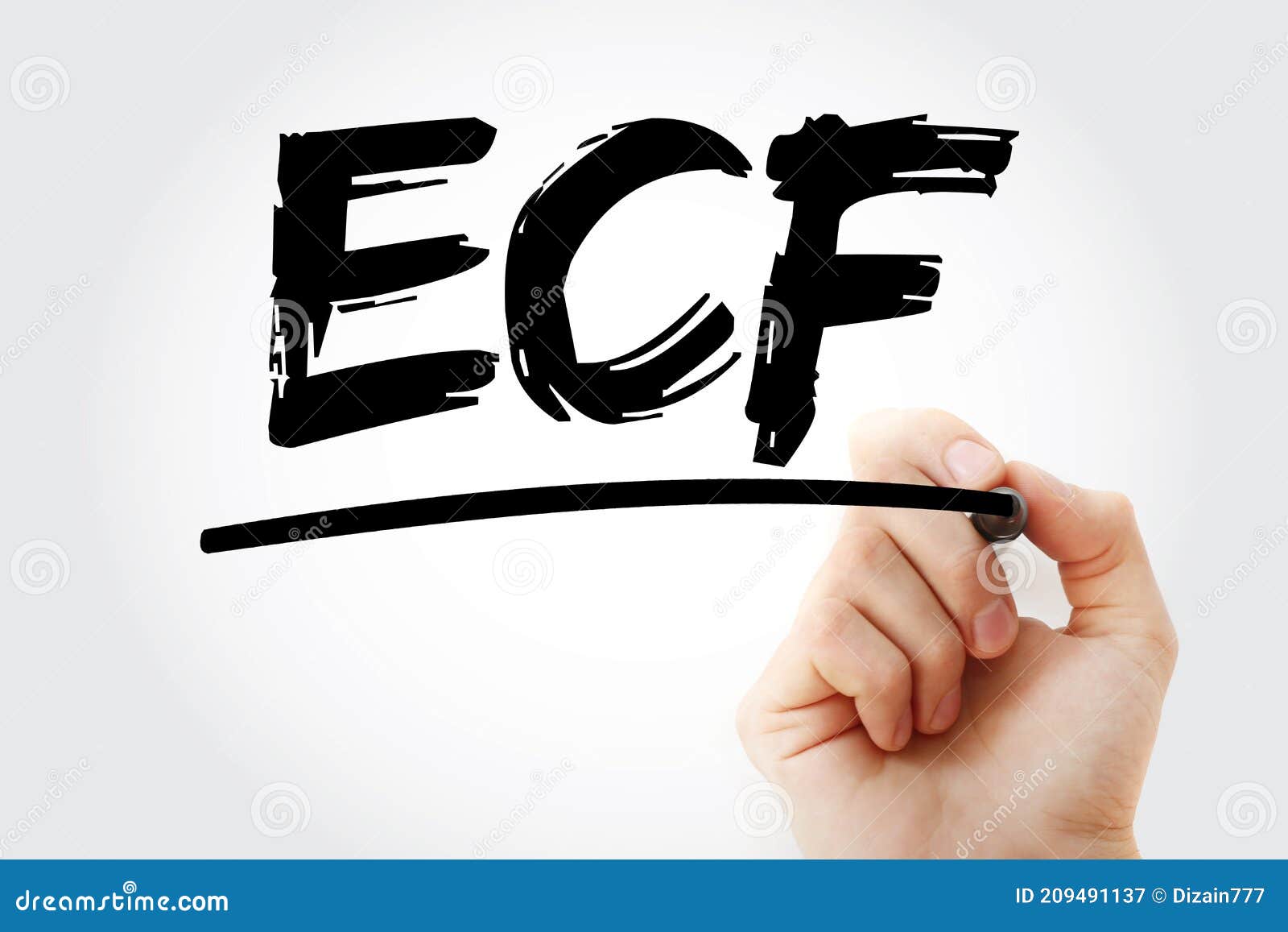 ECF Extracellular Fluid Acronym With Marker, Medical Concept