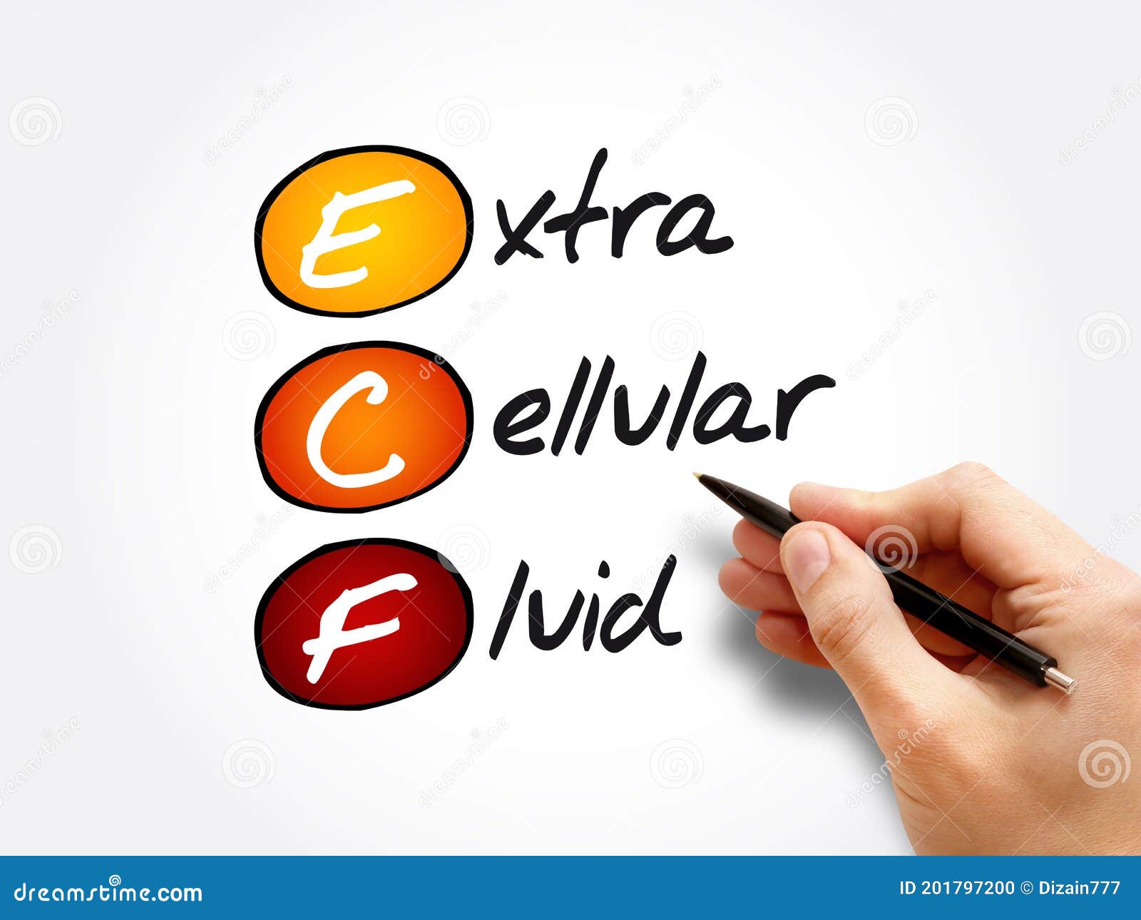 ecf - extracellular fluid acronym, medical concept