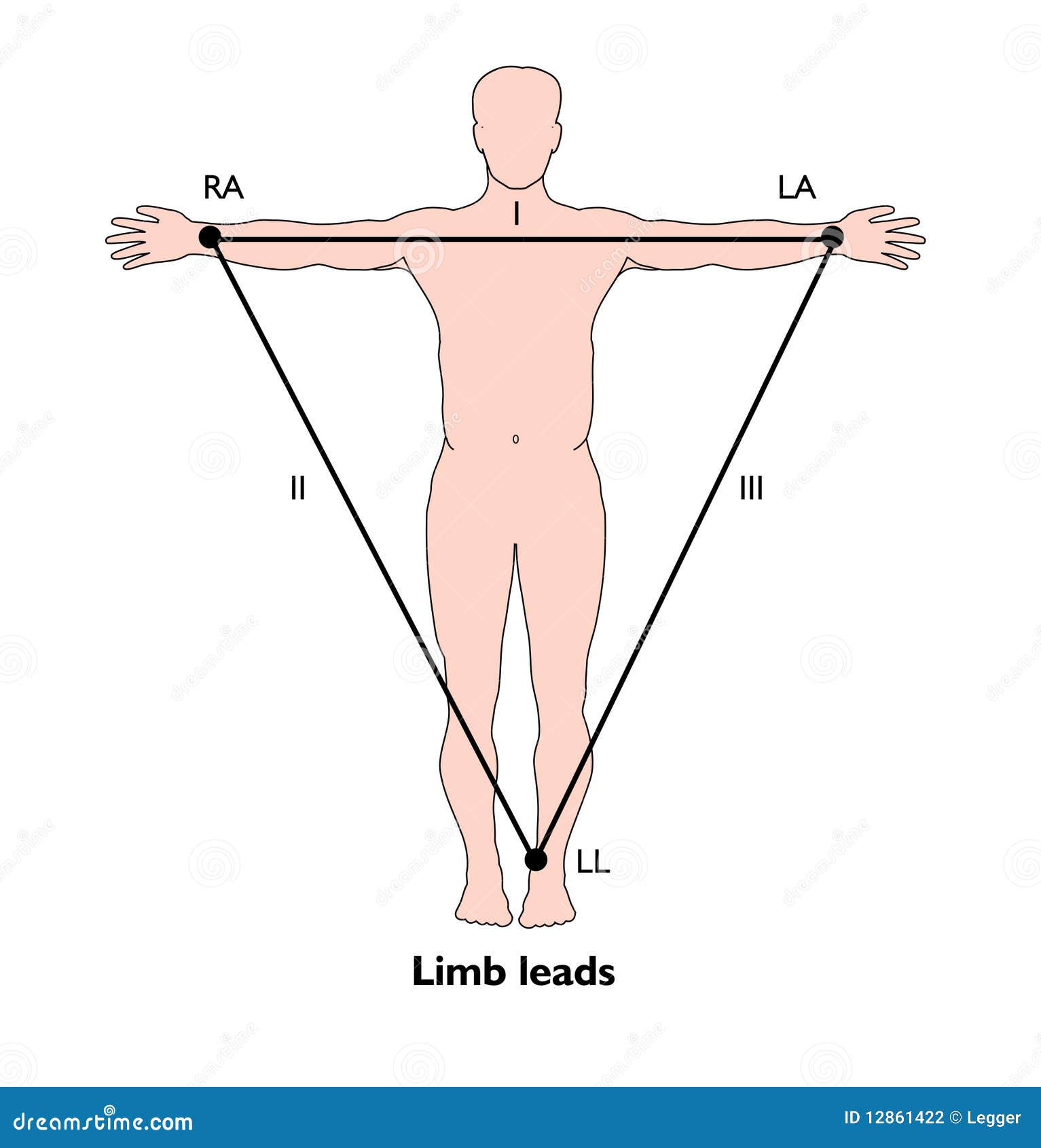 ecg limb leads