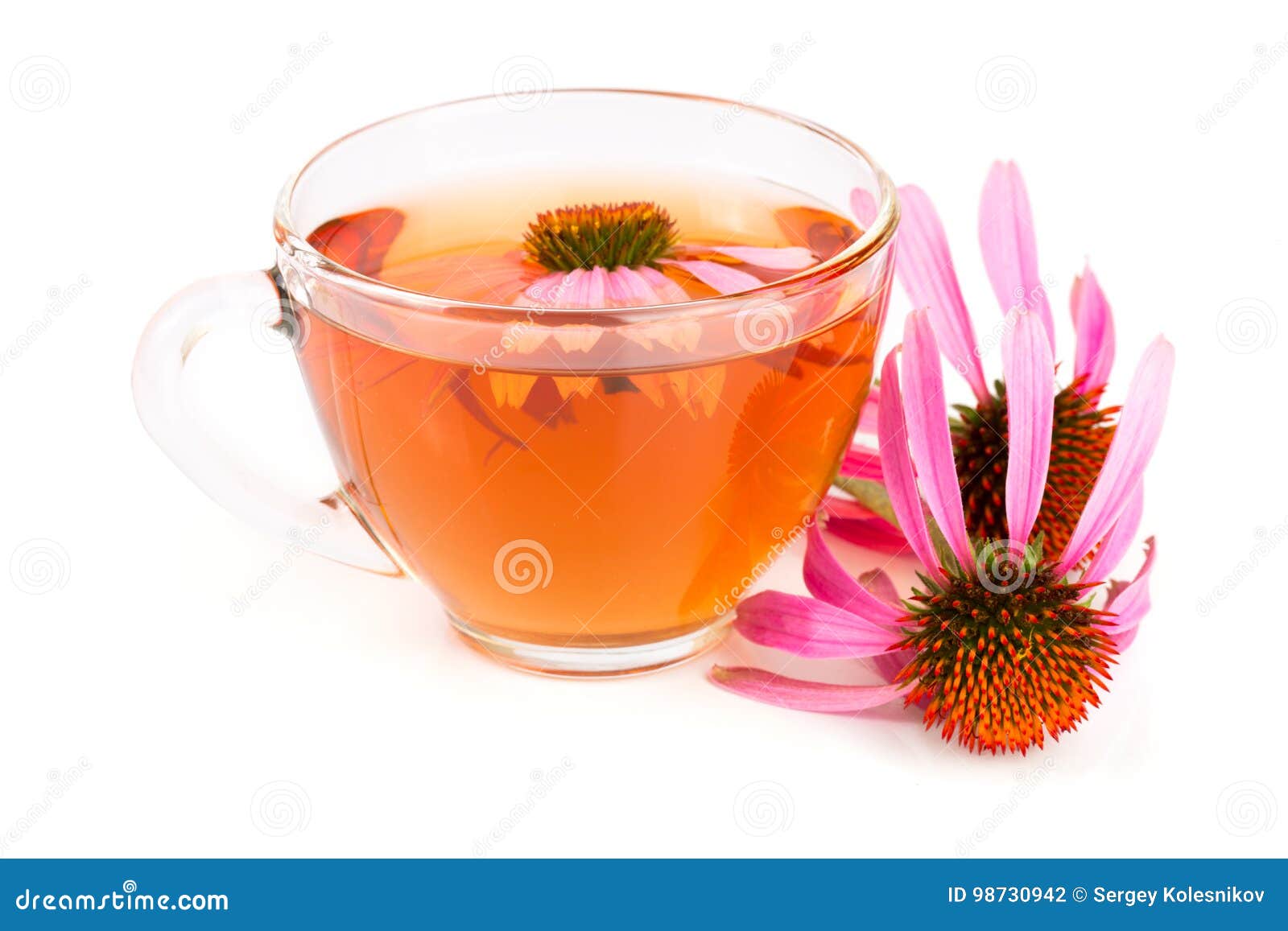 Echinacea Tea Isolated on White Background. Medicinal Tea Stock Photo