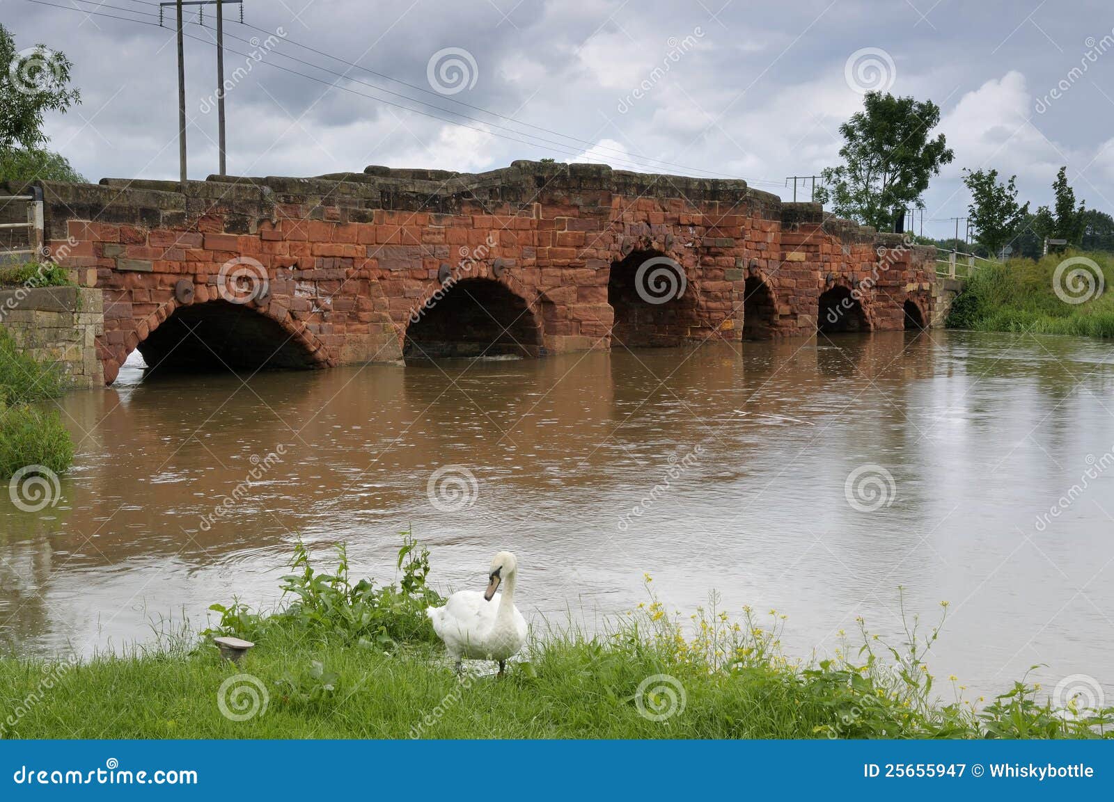 Eckington Bridge, River Avon With Bredon Hill In The Background Royalty