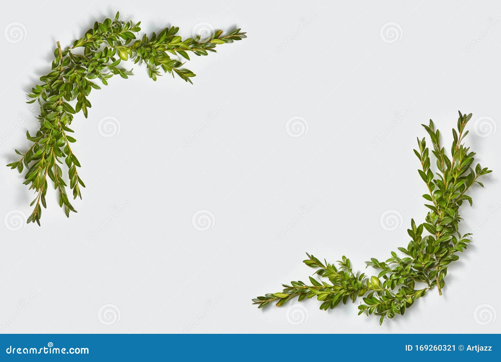 Eckrahmen Aus Grunen Blattern Stockbild Bild Von Botanisch Kunst 169260321