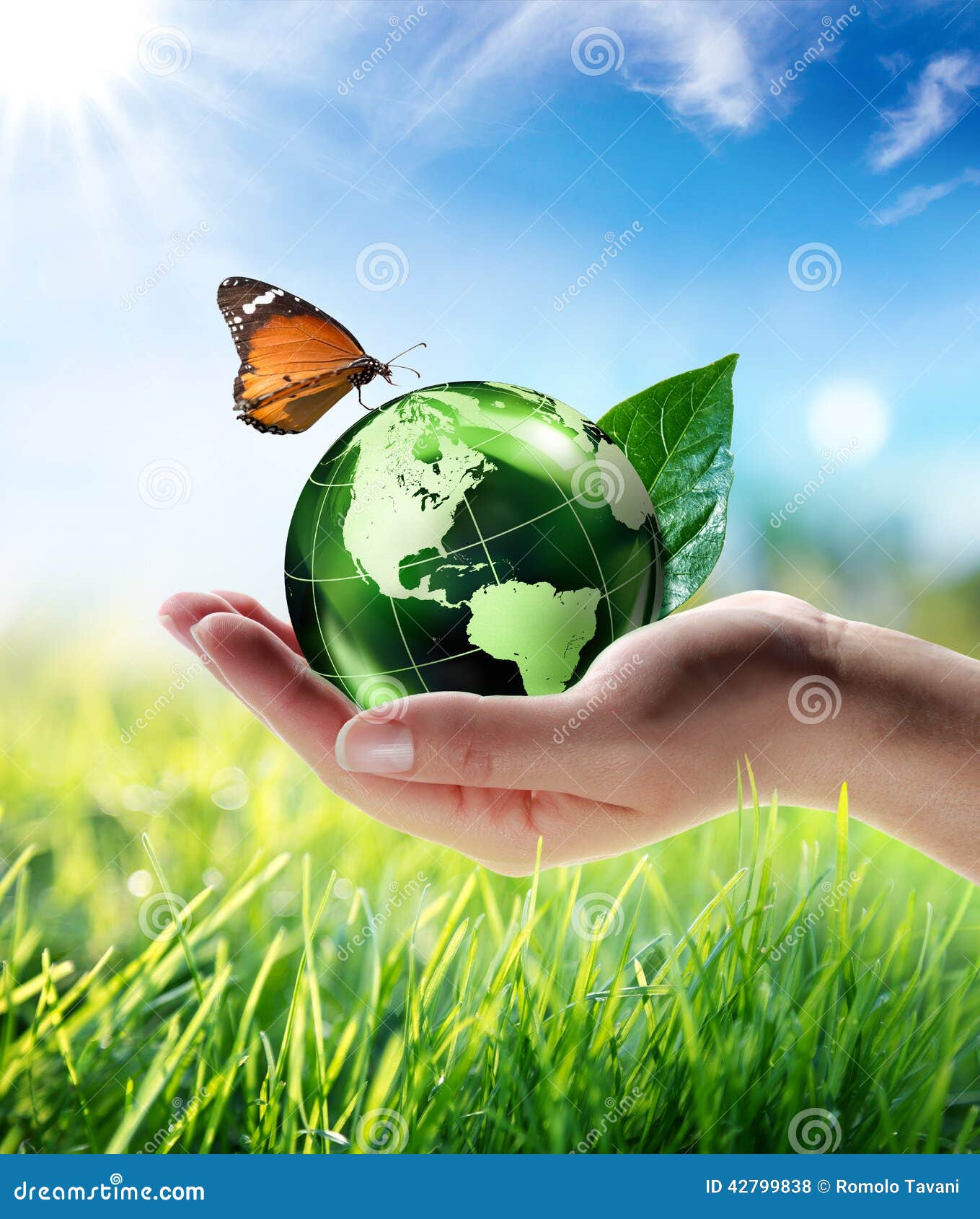 eco-friendly concept