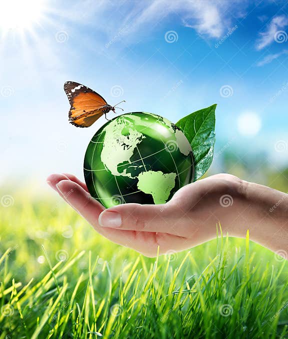 Eco-friendly concept stock photo. Image of butterfly - 42799838