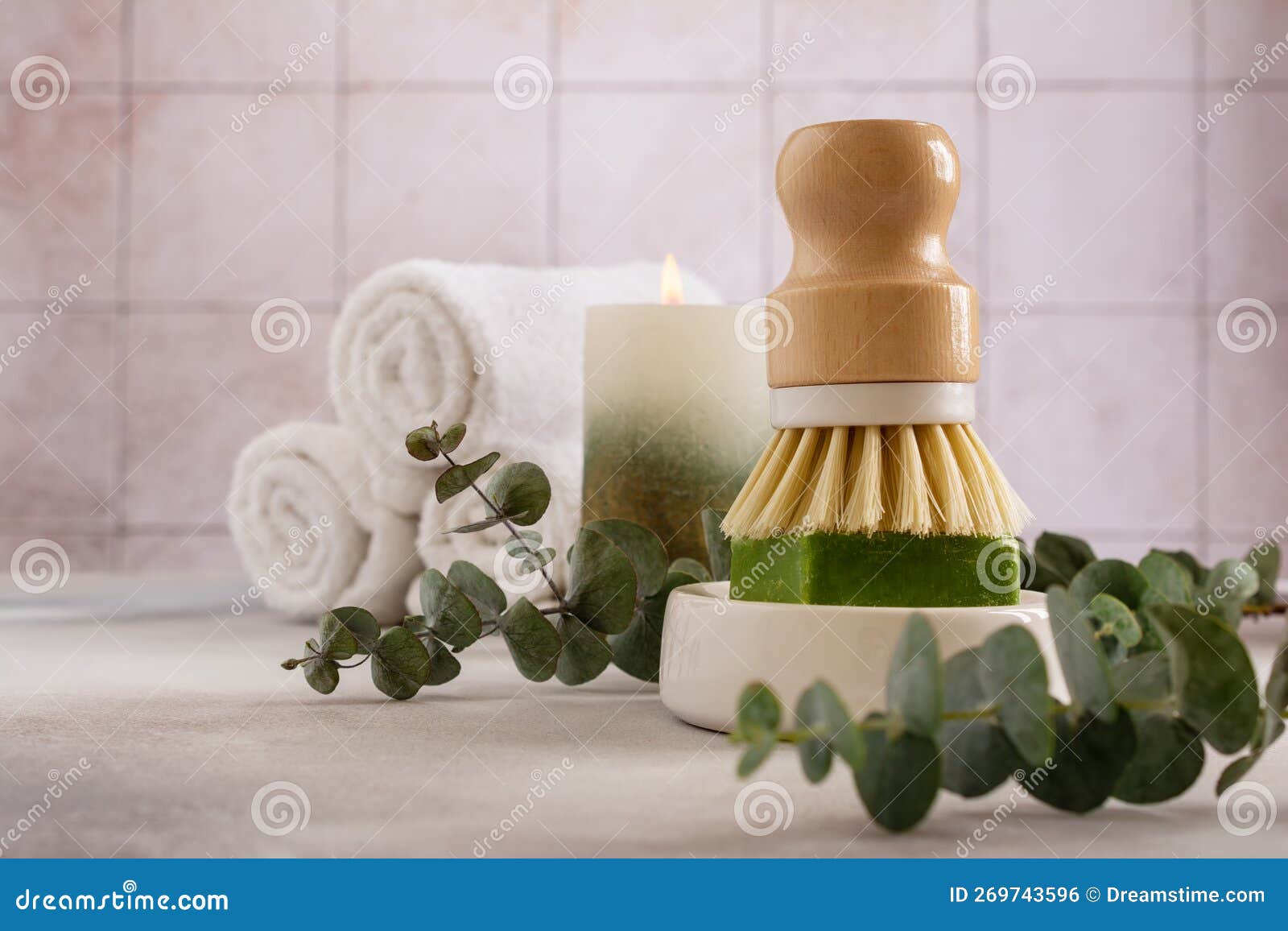 Eco Friendly Dish Brush and Solid Eucalyptus Soap Stock Photo Image