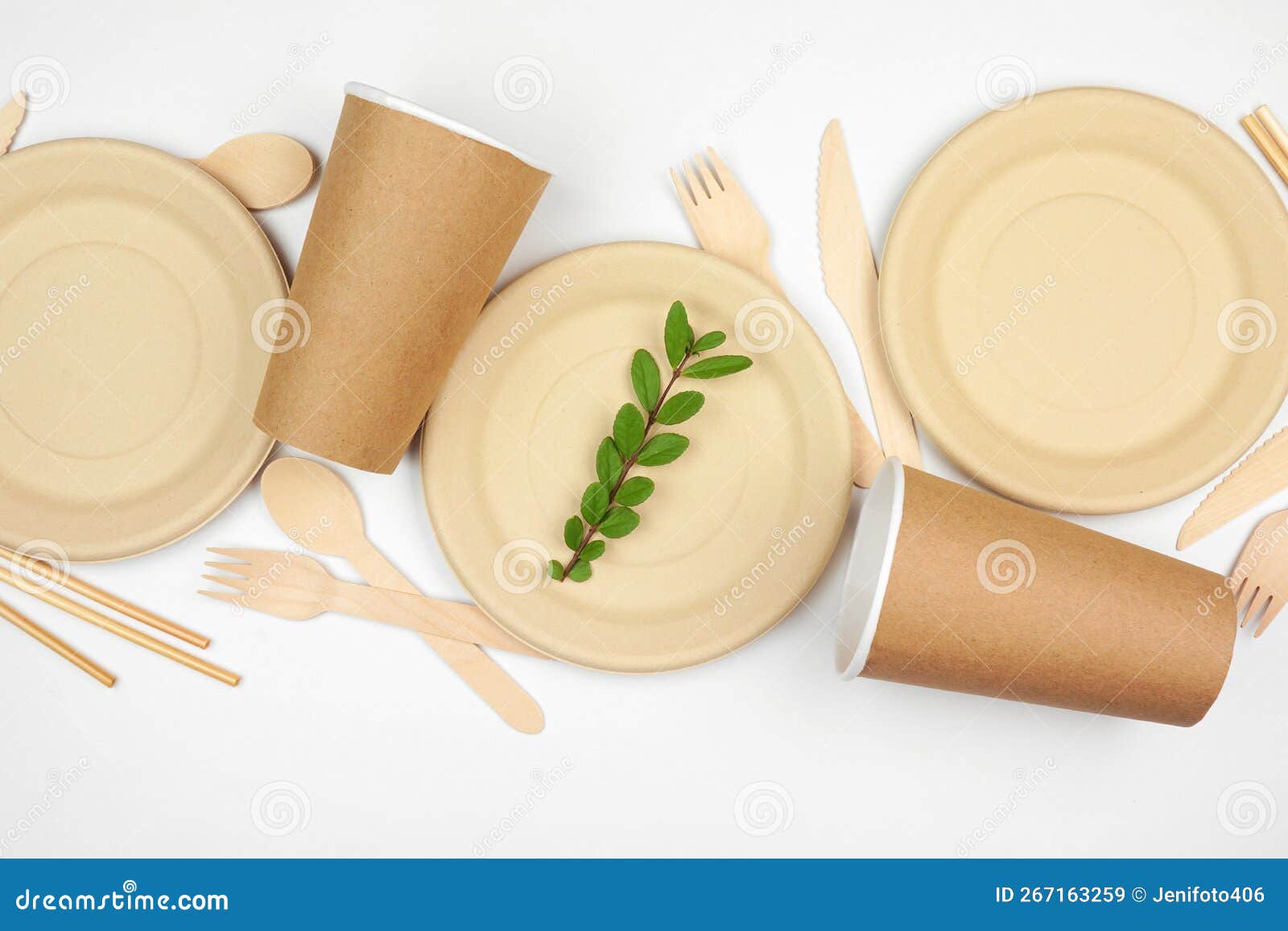 Eco Friendly, Plastic Free Disposable Dishware for Takeout. Overhead