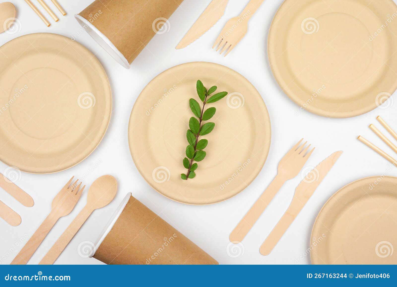 Eco Friendly, Plastic Free Disposable Dishware for Takeout. Flat Lay on