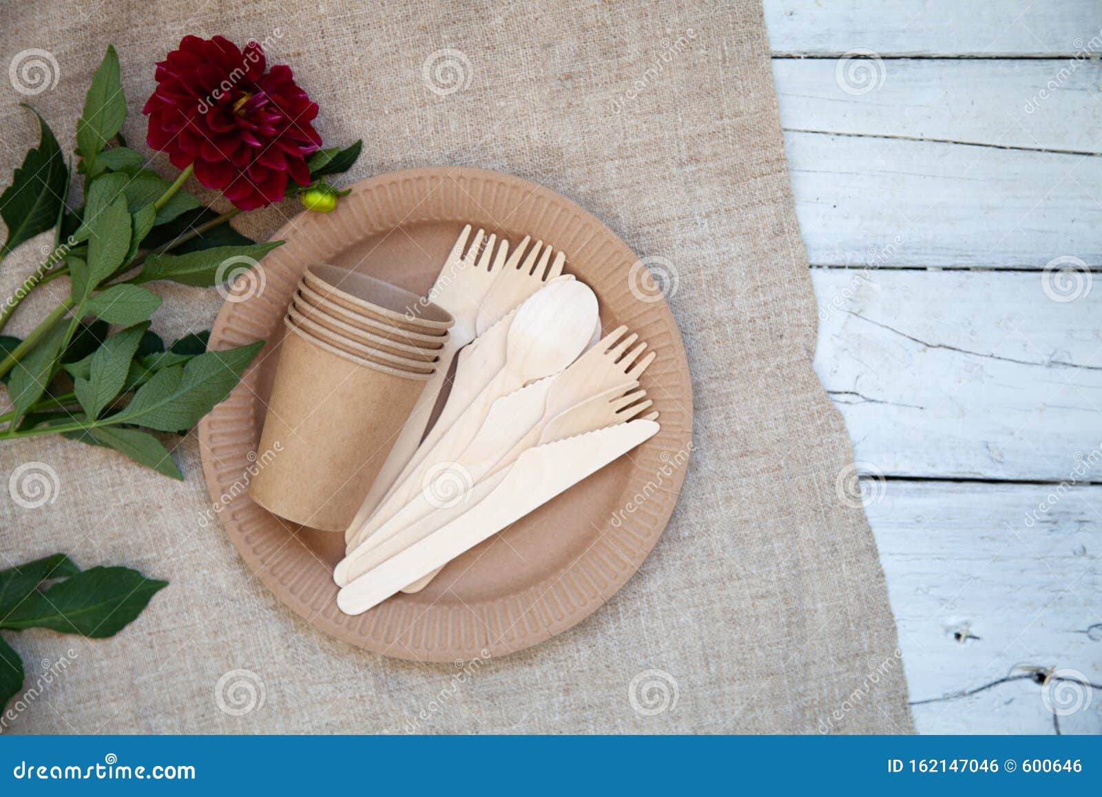 Ecofriendly Disposable Tableware, Paper Tableware. Dishes for a Picnic and Camping, Dishes