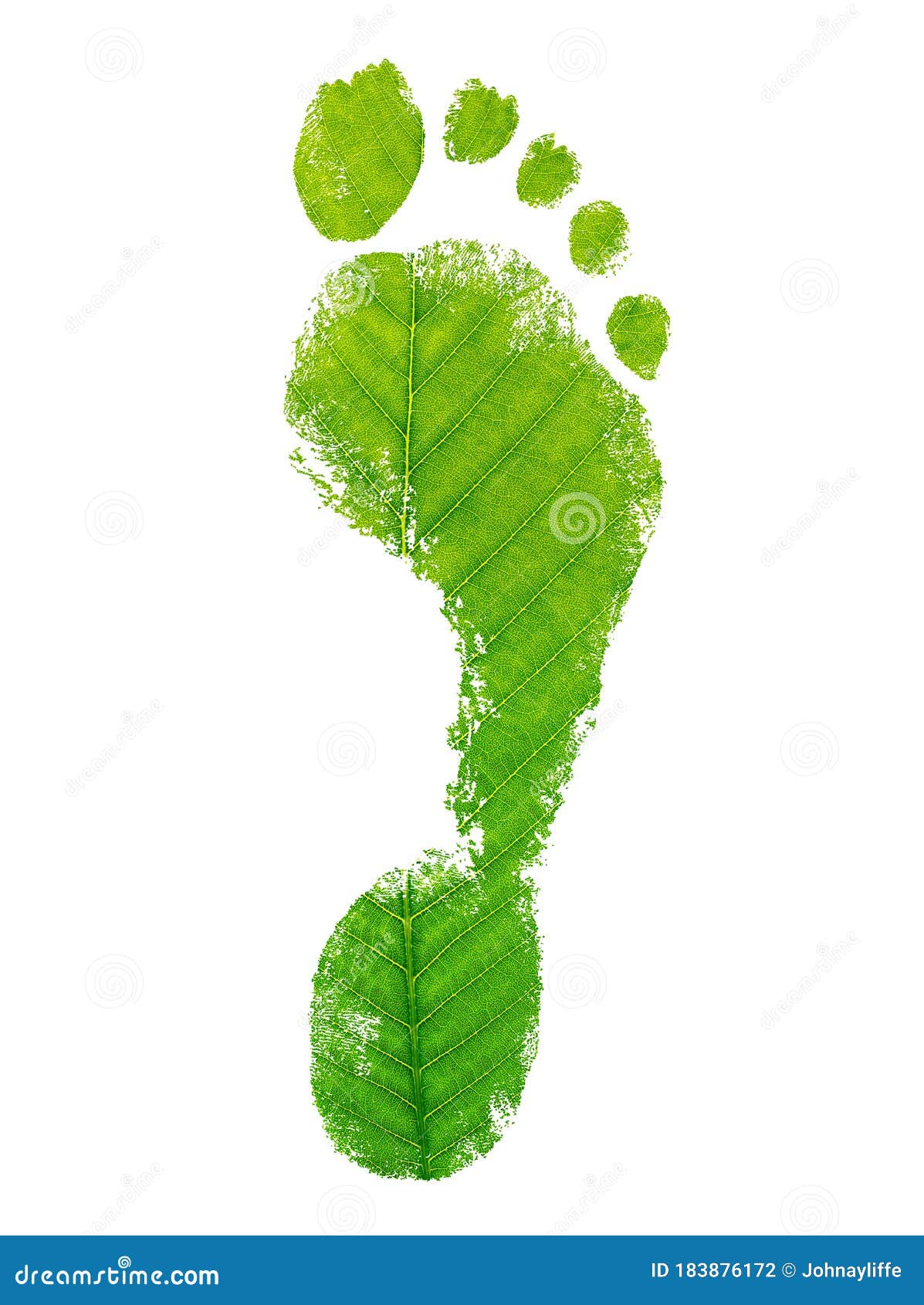 eco friendly footprint. leaf texture.