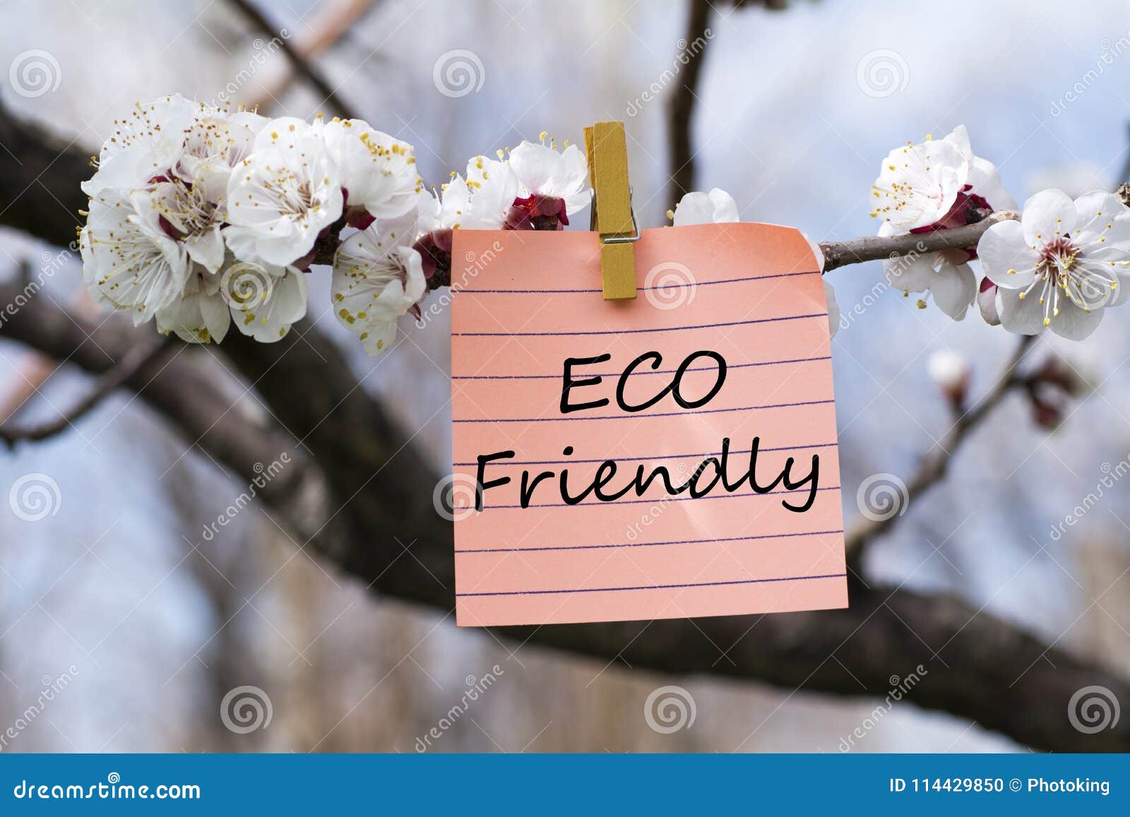 eco friendly in memo