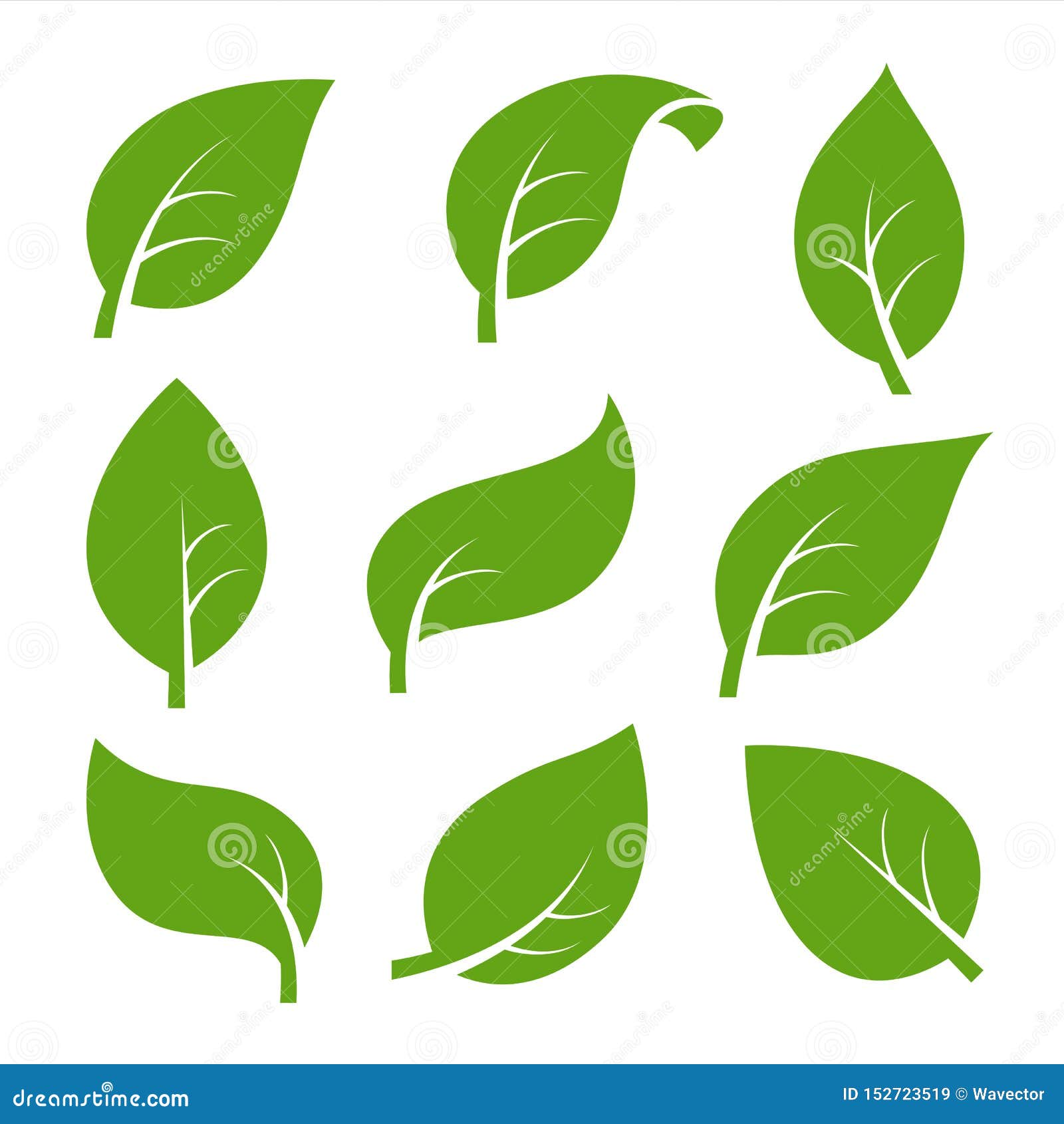 eco nature green color leaf  logo flat icon set