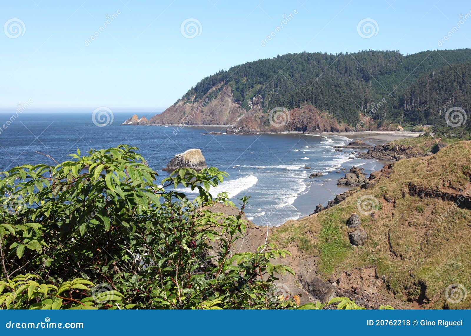 Ecola State Park, Oregon Coast & Pacific Ocean. Stock Photo Image of