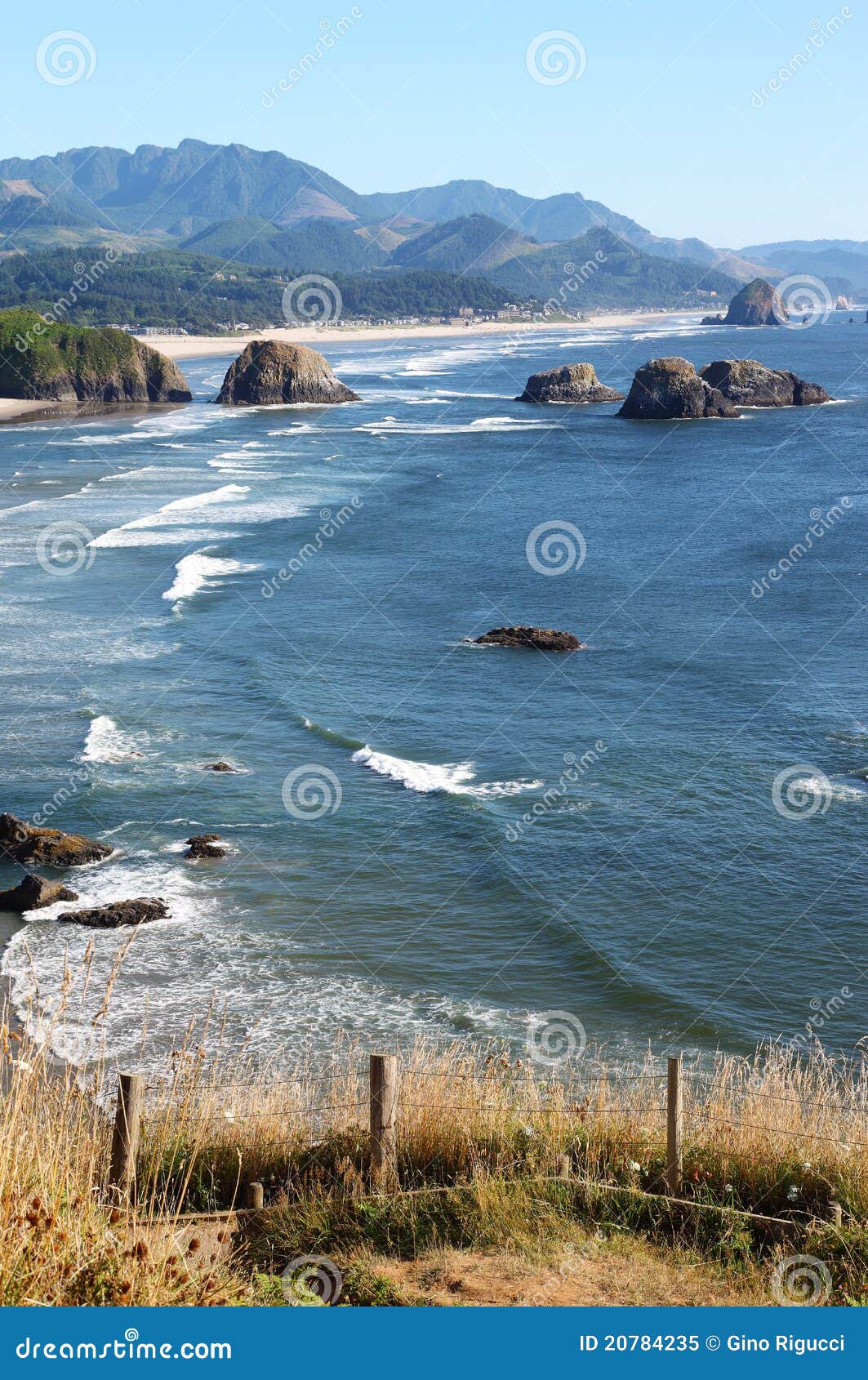 Ecola State Park, Oregon Coast & Pacific Ocean. Stock Image Image of