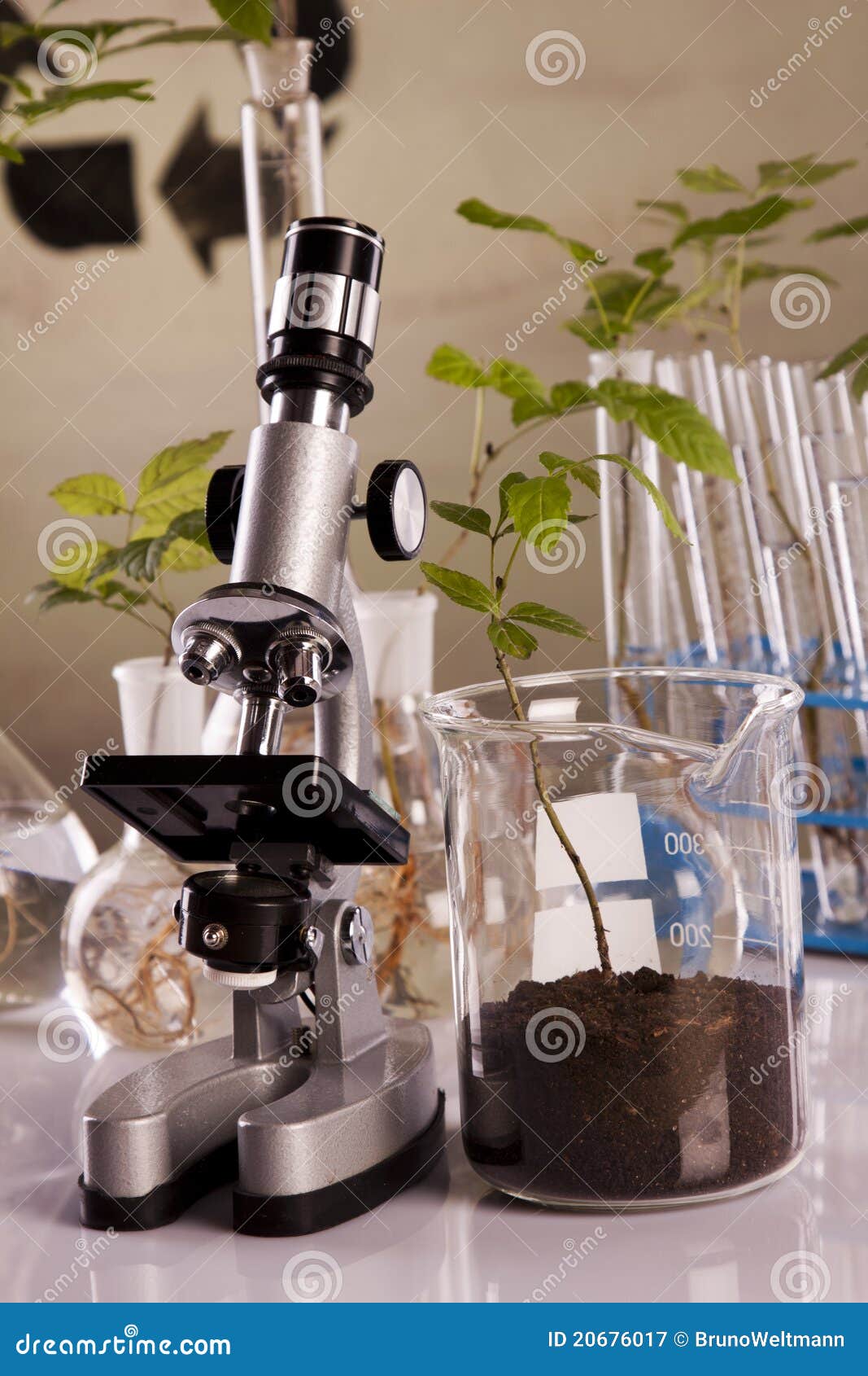 Ecologic laboratory stock image. Image of friendly, conceptual 20676017
