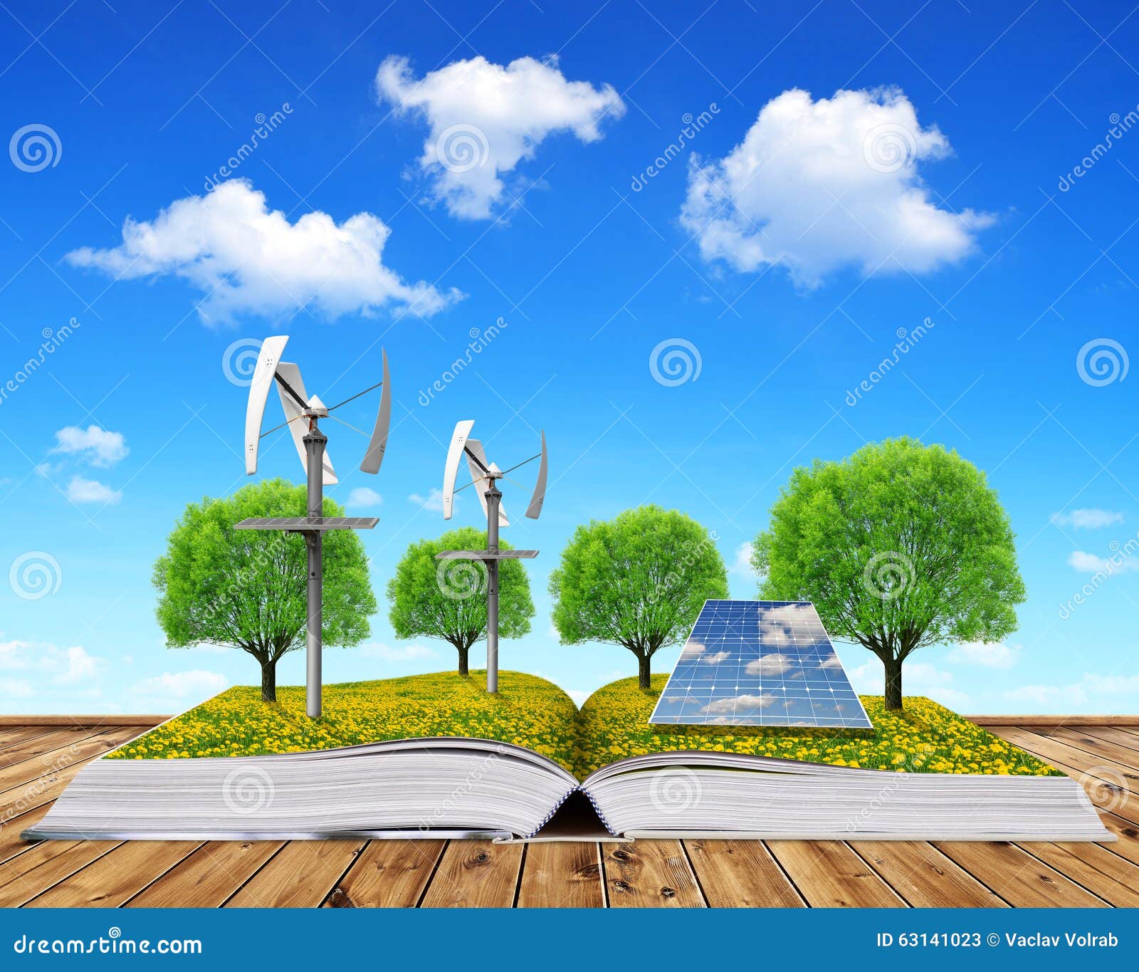 book book The Mathematica Guidebook: