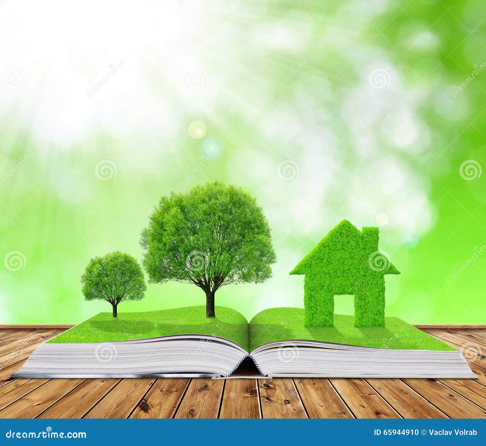 ecological book with trees and house