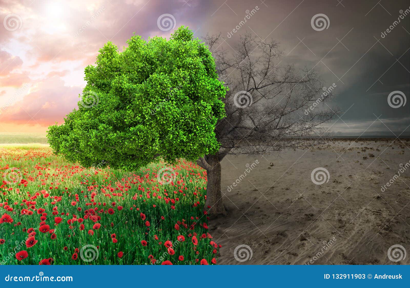 ecological concept with tree and climate changing landscape