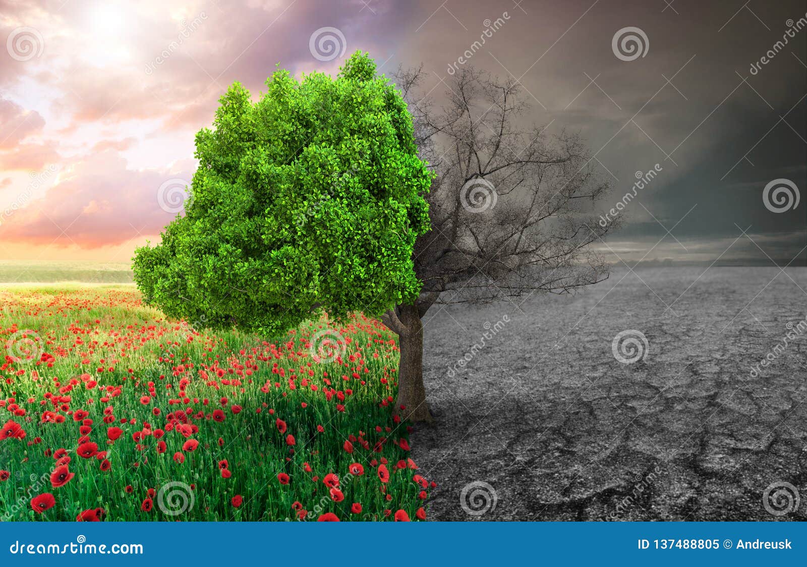 ecological concept with tree and climate