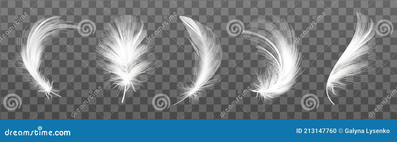 chicken down feathers