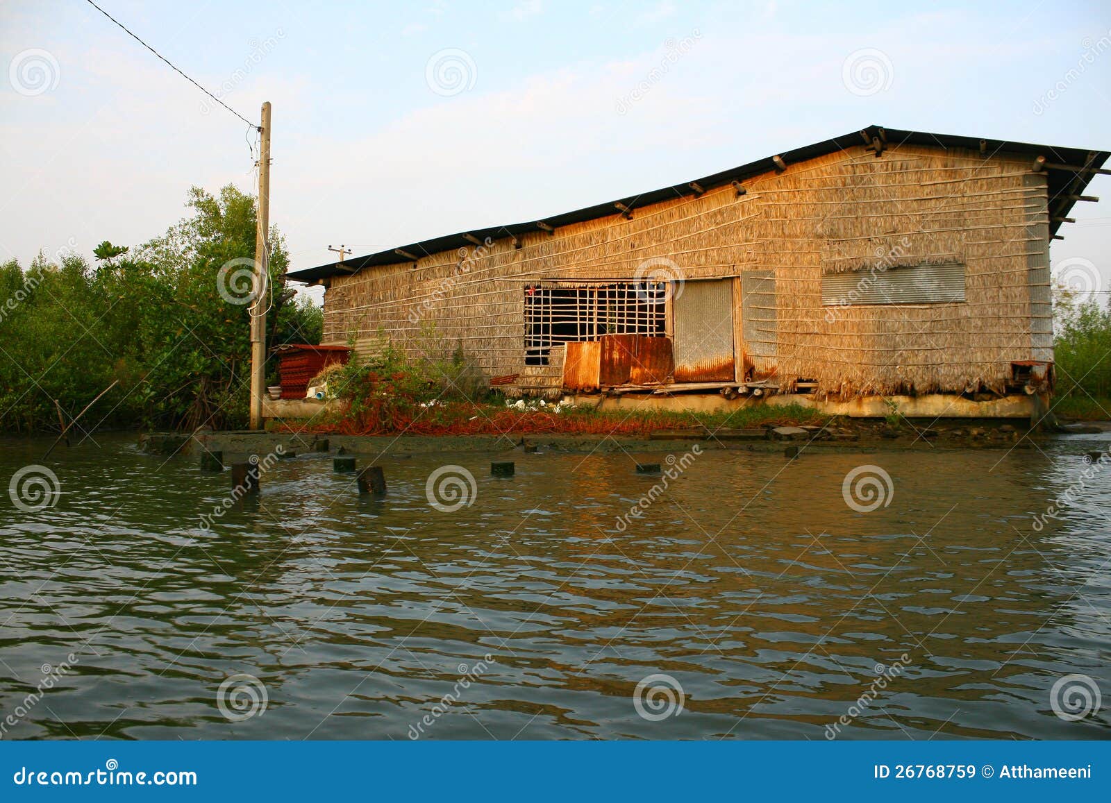 Ecological House Pontoon in Bangkok Swamp Stock Image Image of