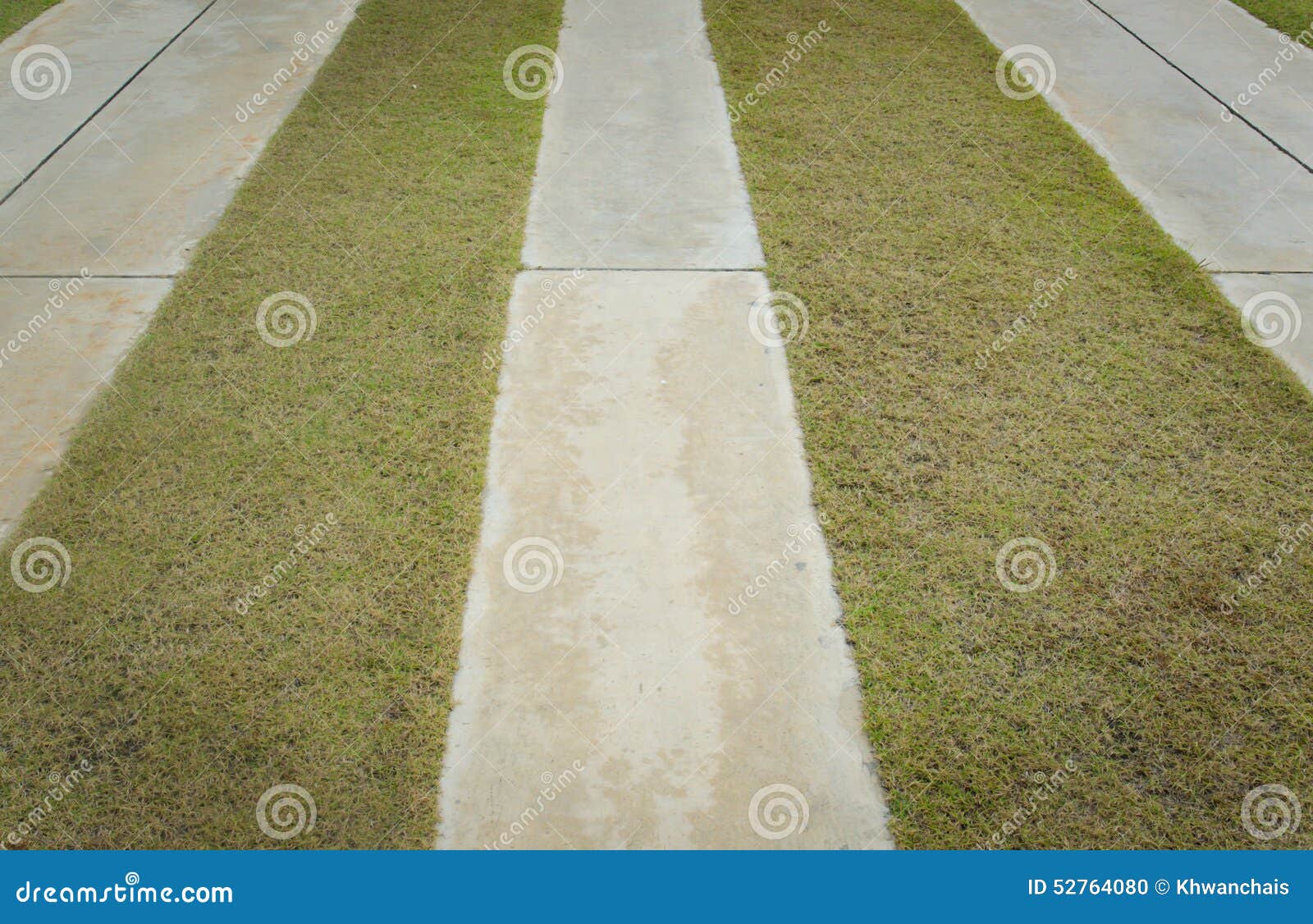 Ecological Parking for Cars and a Green Grass Stock Photo Image of